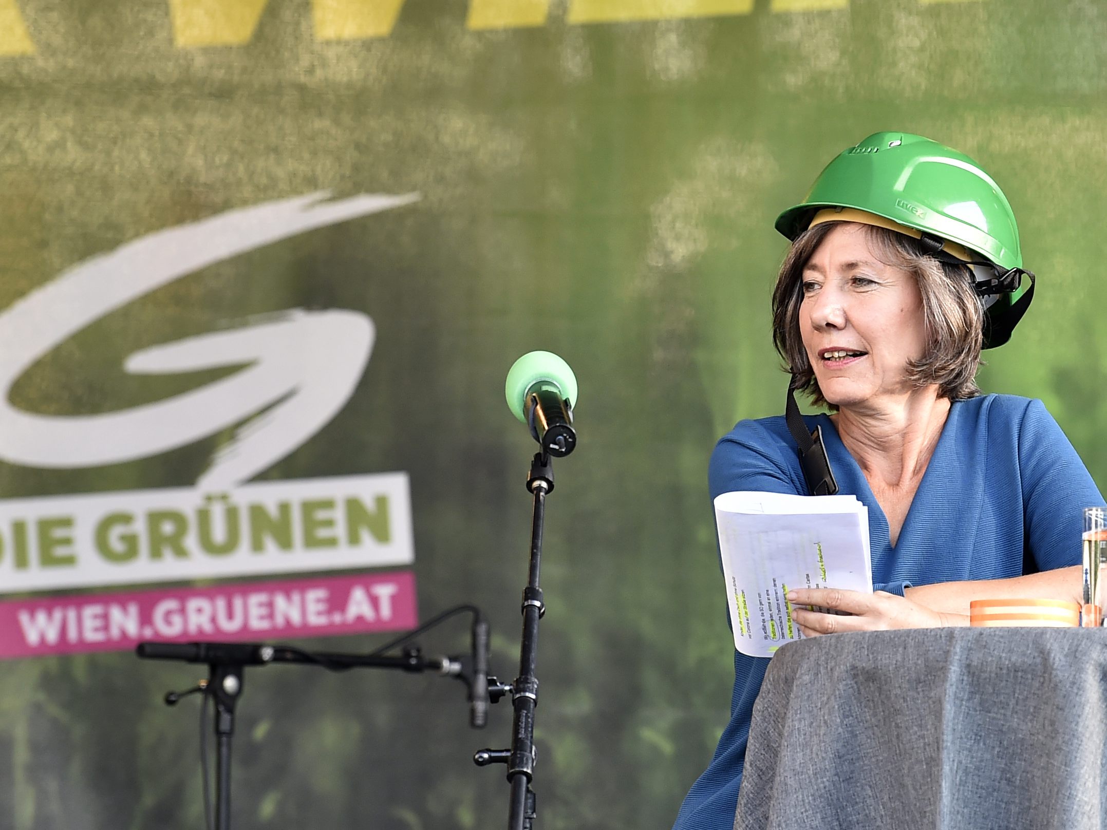 Nach dem Rücktritt von Birgit Hebein wählen die Wiener Grünen am Samstag ihre neue Parteispitze.