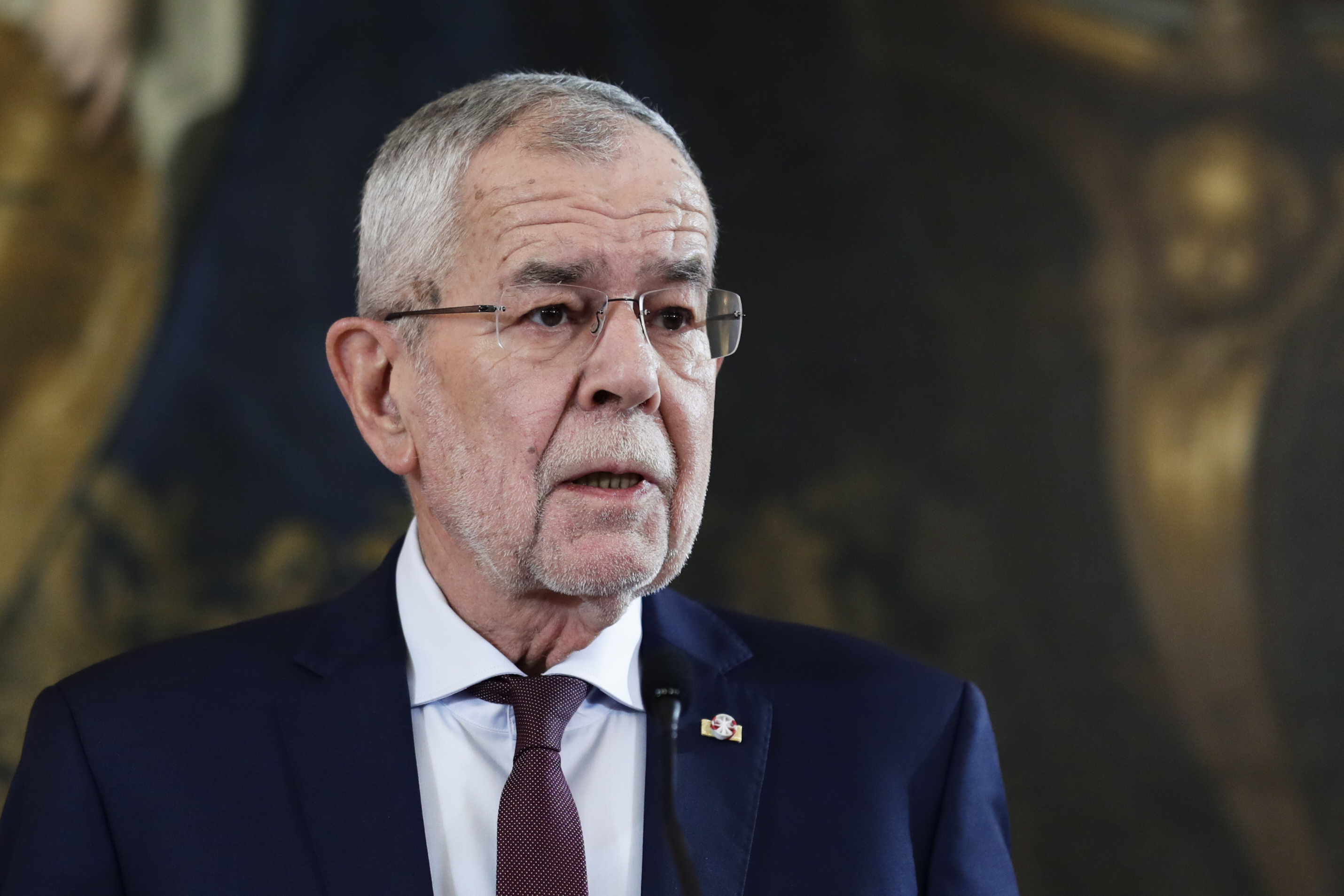 Bundespräsident Alexander Van der Bellen