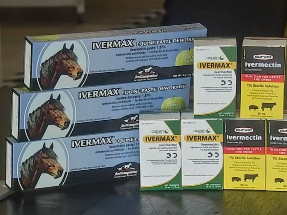 Die Selbsthandlung einer Corona-Erkrankung mit Tiermedikamenten ist nicht ratsam.