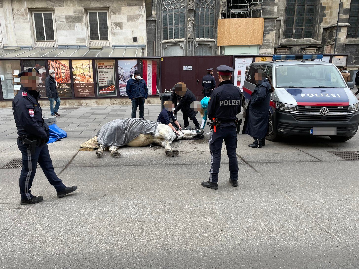 Am Wiener Stephansplatz kollabierte ein Fiakerpferd.