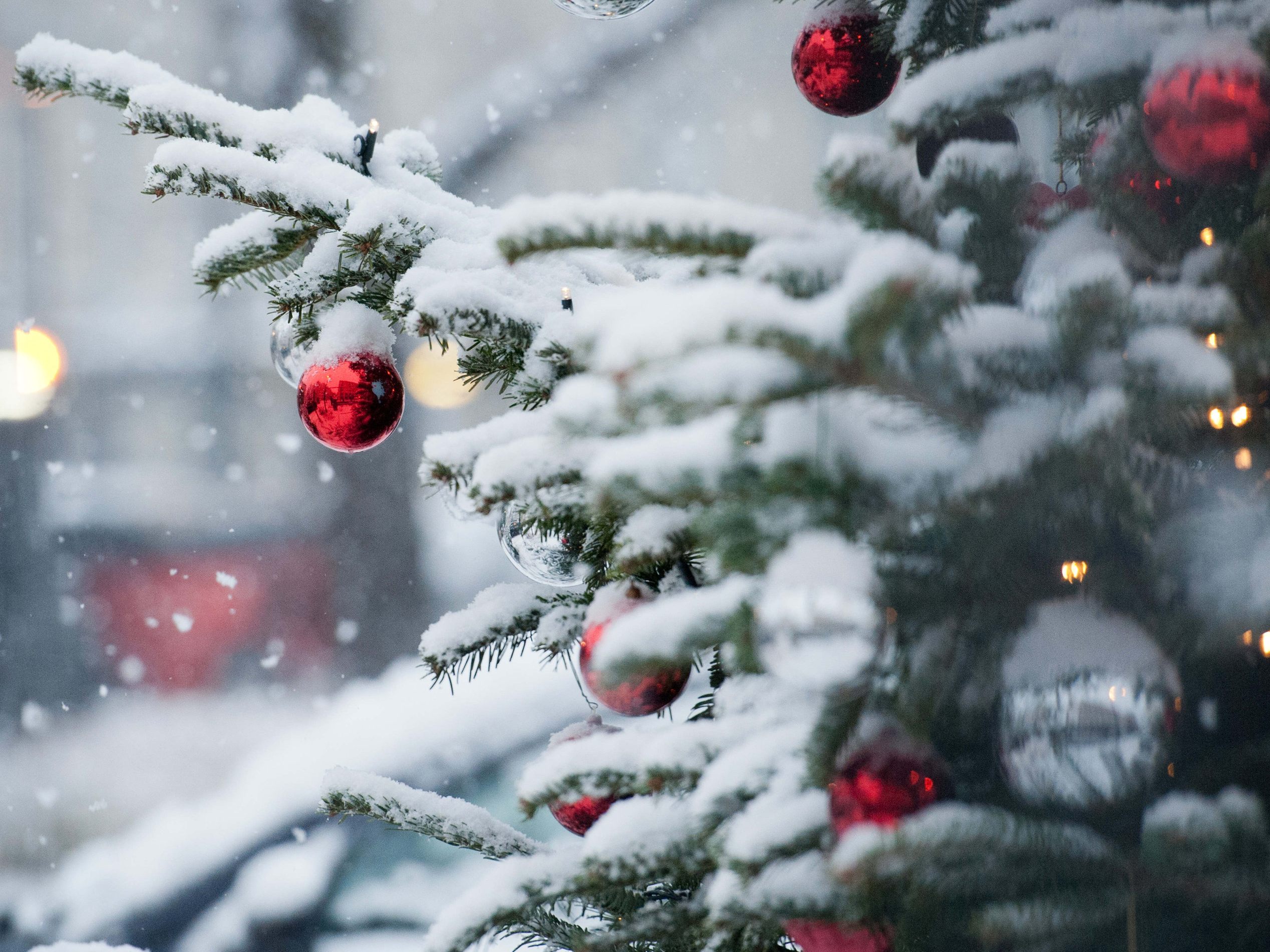 Neuschnee am 4. Advent möglich.
