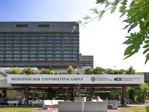 Medizin-Uni Wien kündigte umstrittenen Professor.