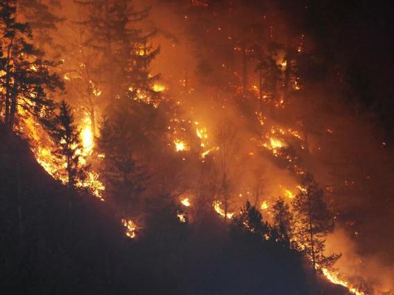 Ein Blick auf den Waldbrand in Pinswang (Bezirk Reutte) am 13. März 2022.