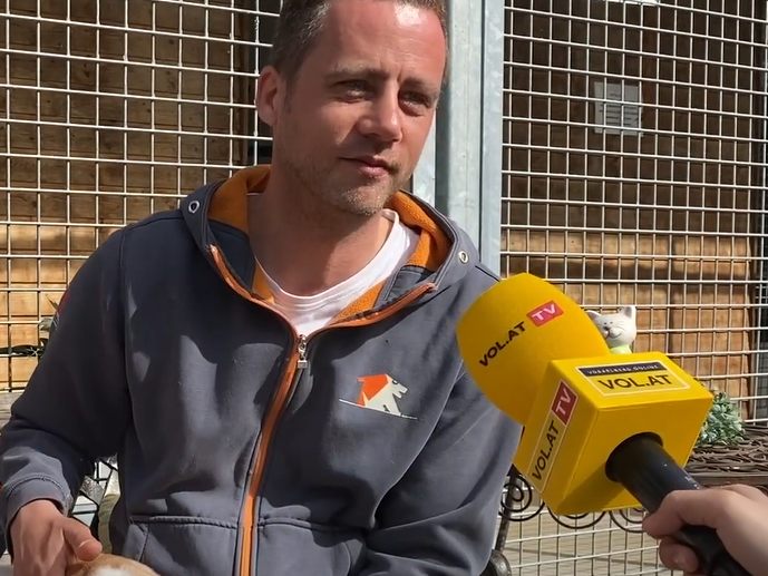 Tierpflegeleiter Marco Milohnic im Gespräch mit VOL.AT.