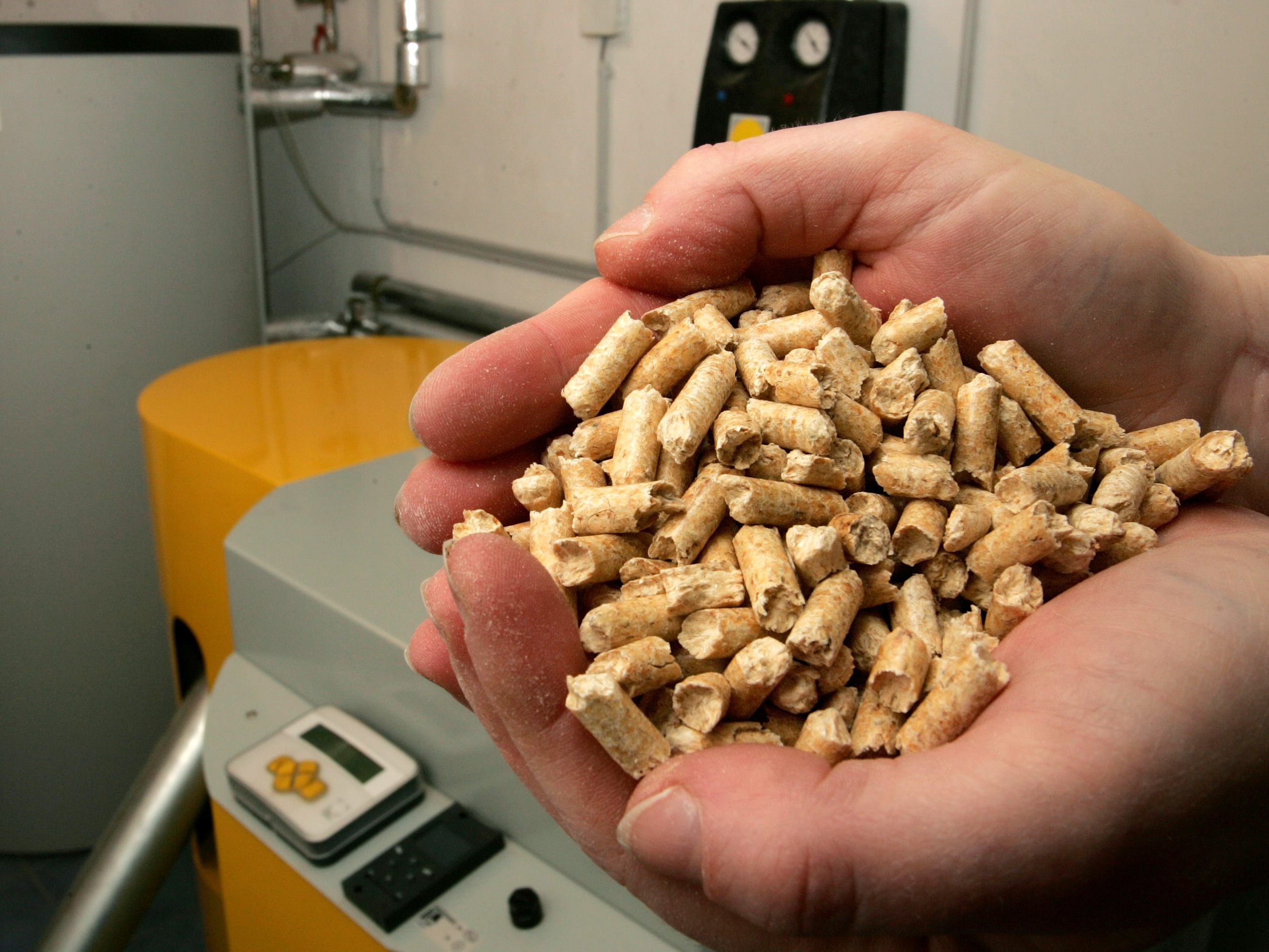 Die hohen Strompreise machen auch vor Holzpellets nicht Halt.