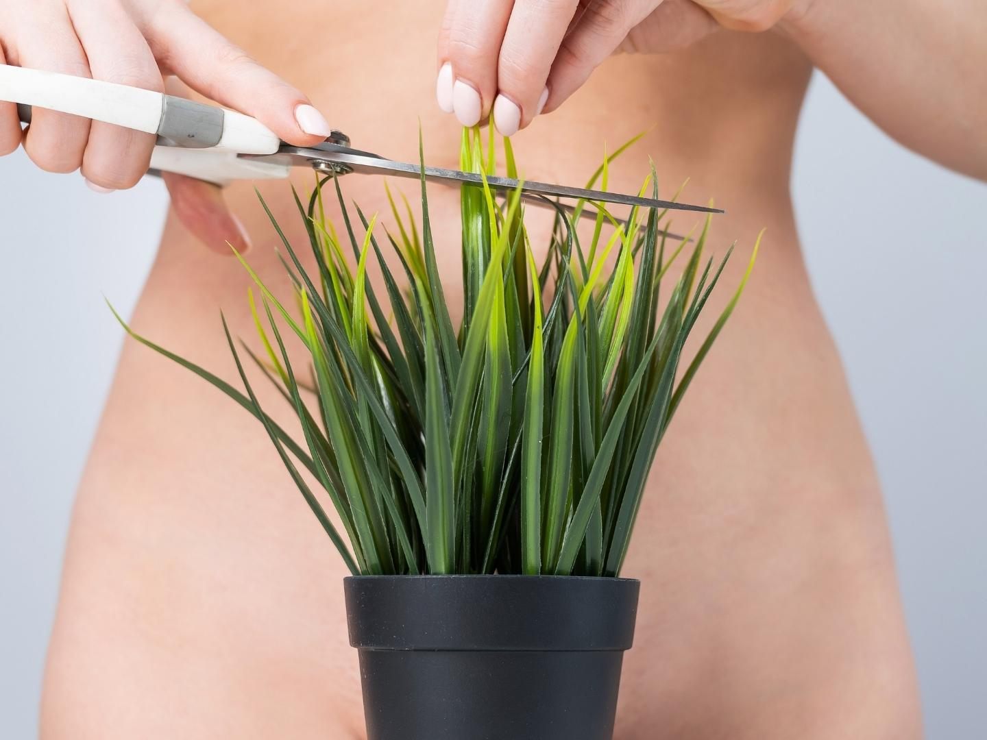 Was darf's sein? Bikini Tanga, Landing Strip oder Hollywood Cut?