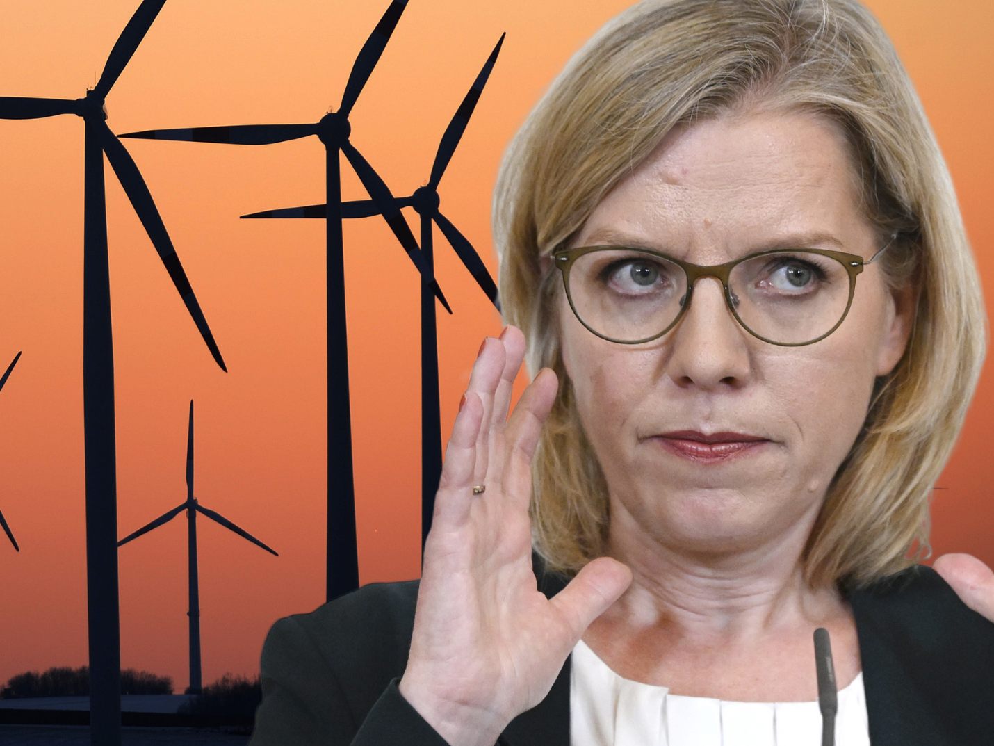 Ausbau von Windparks soll durch weniger Kompetenzen für die Länder beschleunigt werden