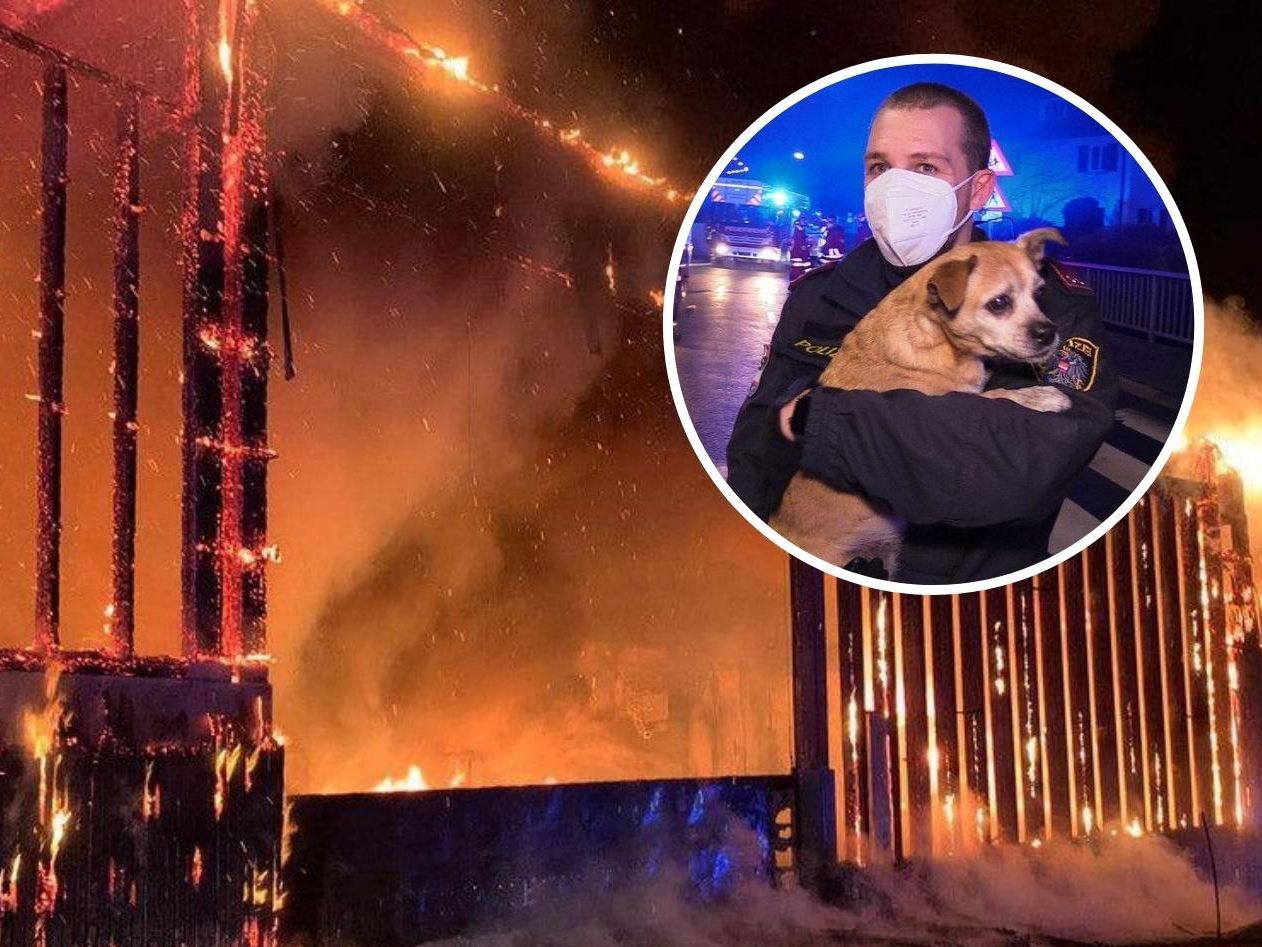 Nach drei Jahren ohne Todesopfer berichtet die Brandverhütungsstelle Vorarlberg über eine traurige Jahresbilanz mit insgesamt 6 Brandtoten.