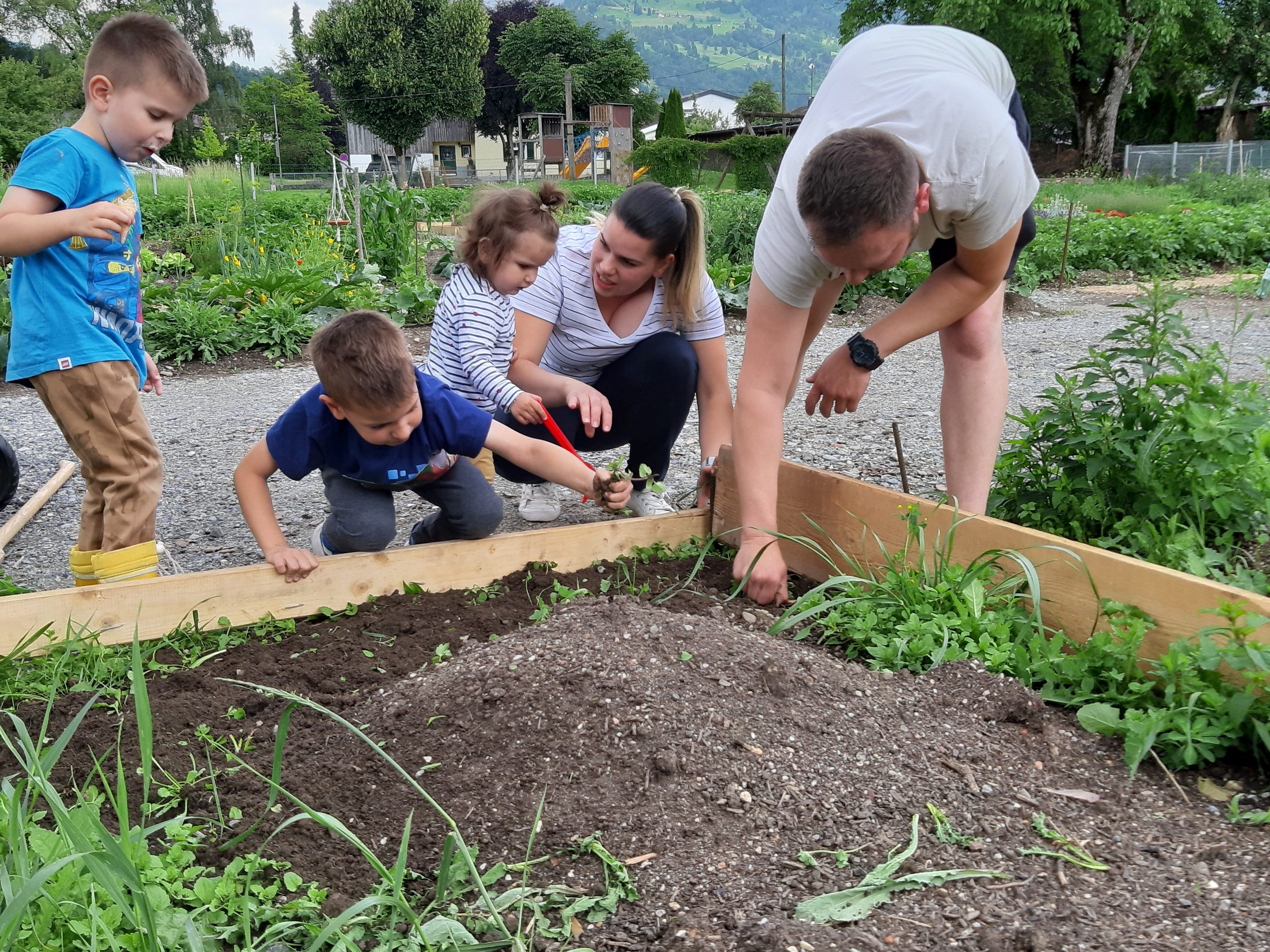 familieplus Bludesch: Schwarzbachgarta Im Schwarzbachgarta in Bludesch hat das familieplus-Team drei Beete kostenlos vergeben.