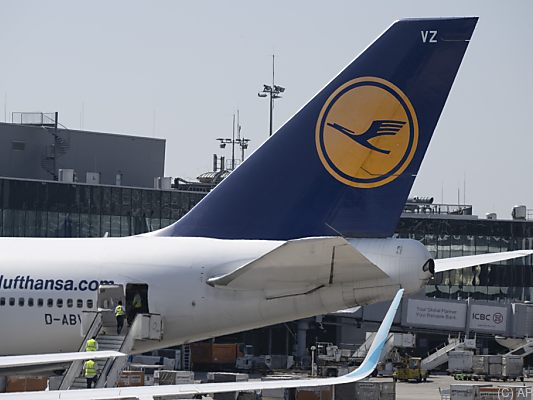 Kranich-Flieger wollen wieder abheben