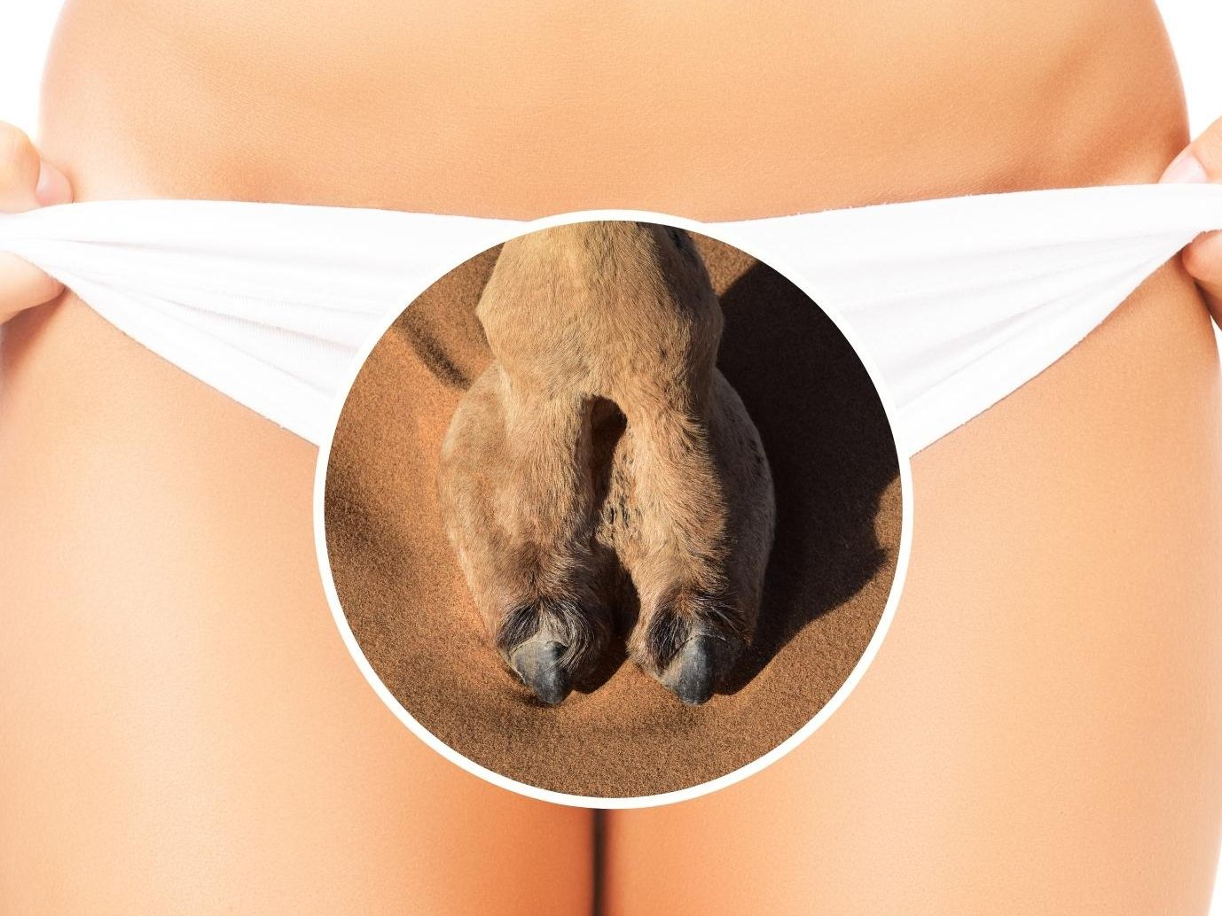 Cameltoe - Trend oder nicht?
