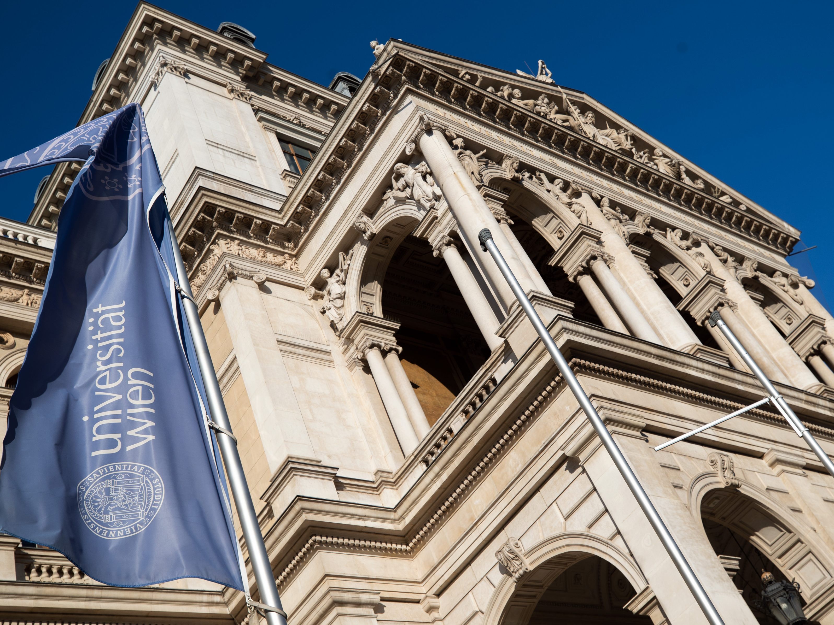 Wiener Chemiker von der Uni Wien ziehen Schadstoffe mit Nanoschwämmen aus dem Wasser.