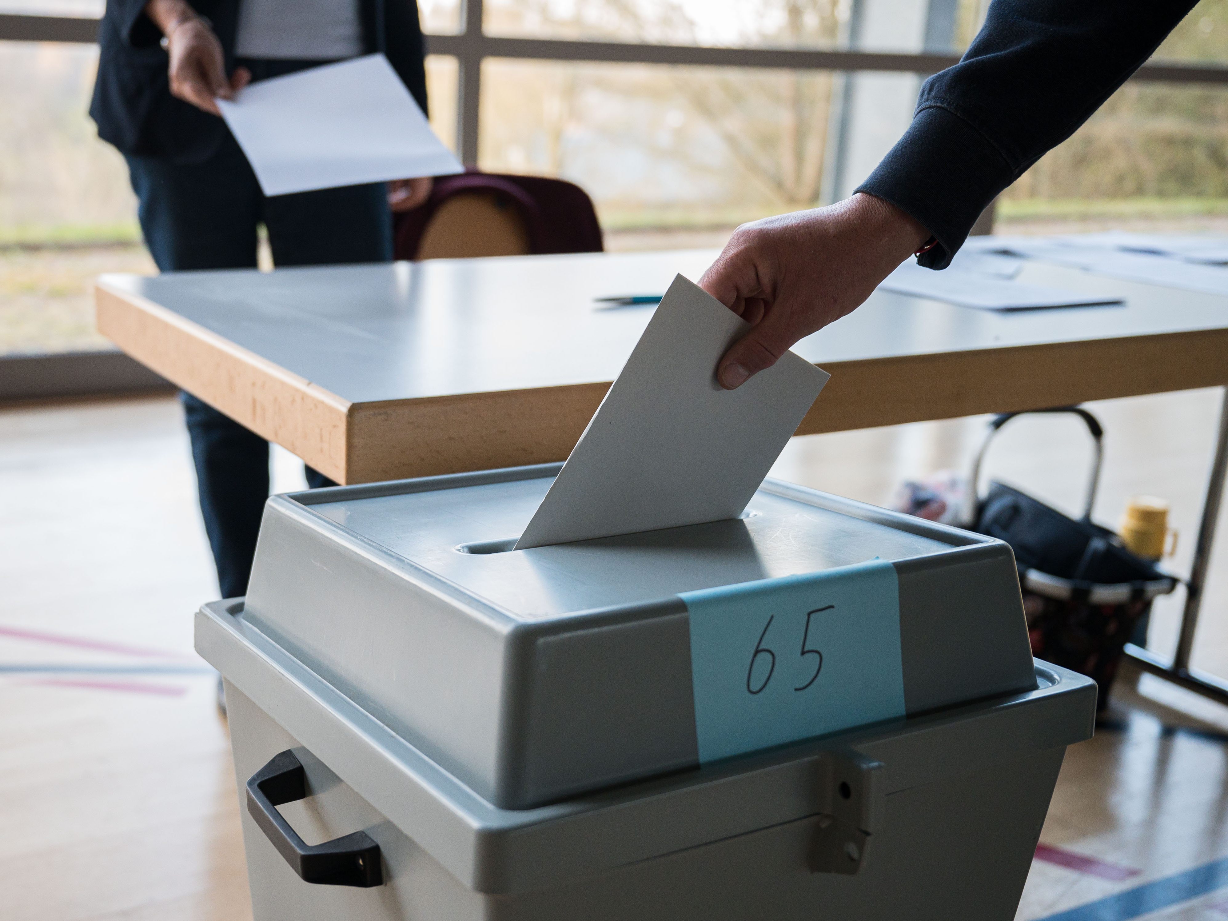 Was man zur Bundespräsidentenwahl wissen muss: Alle Fragen und Antworten.