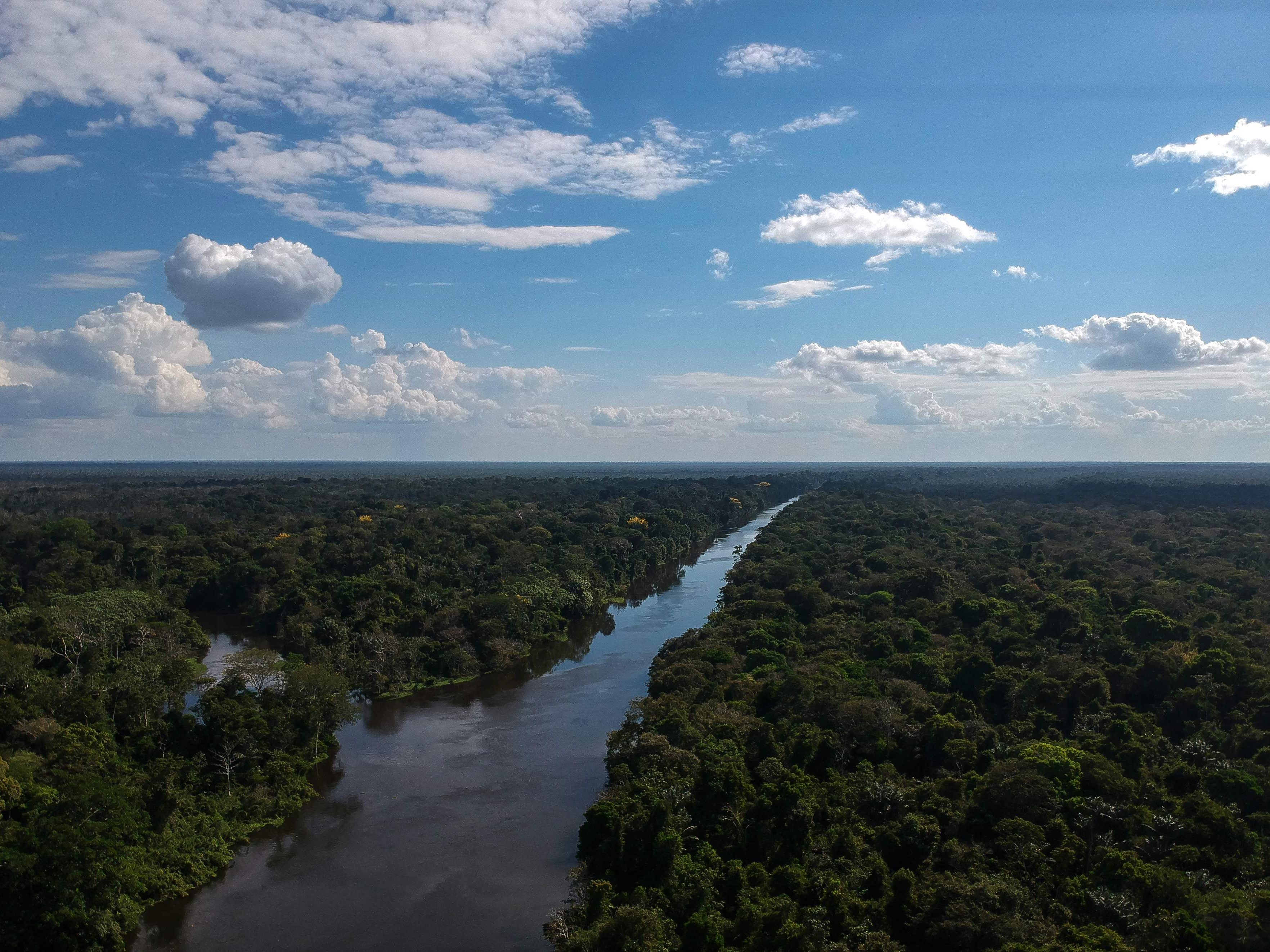 Auch Naturschützer, die sich für den Regenwald im Amazonasgebiet einsetzen, leben gefährlich.