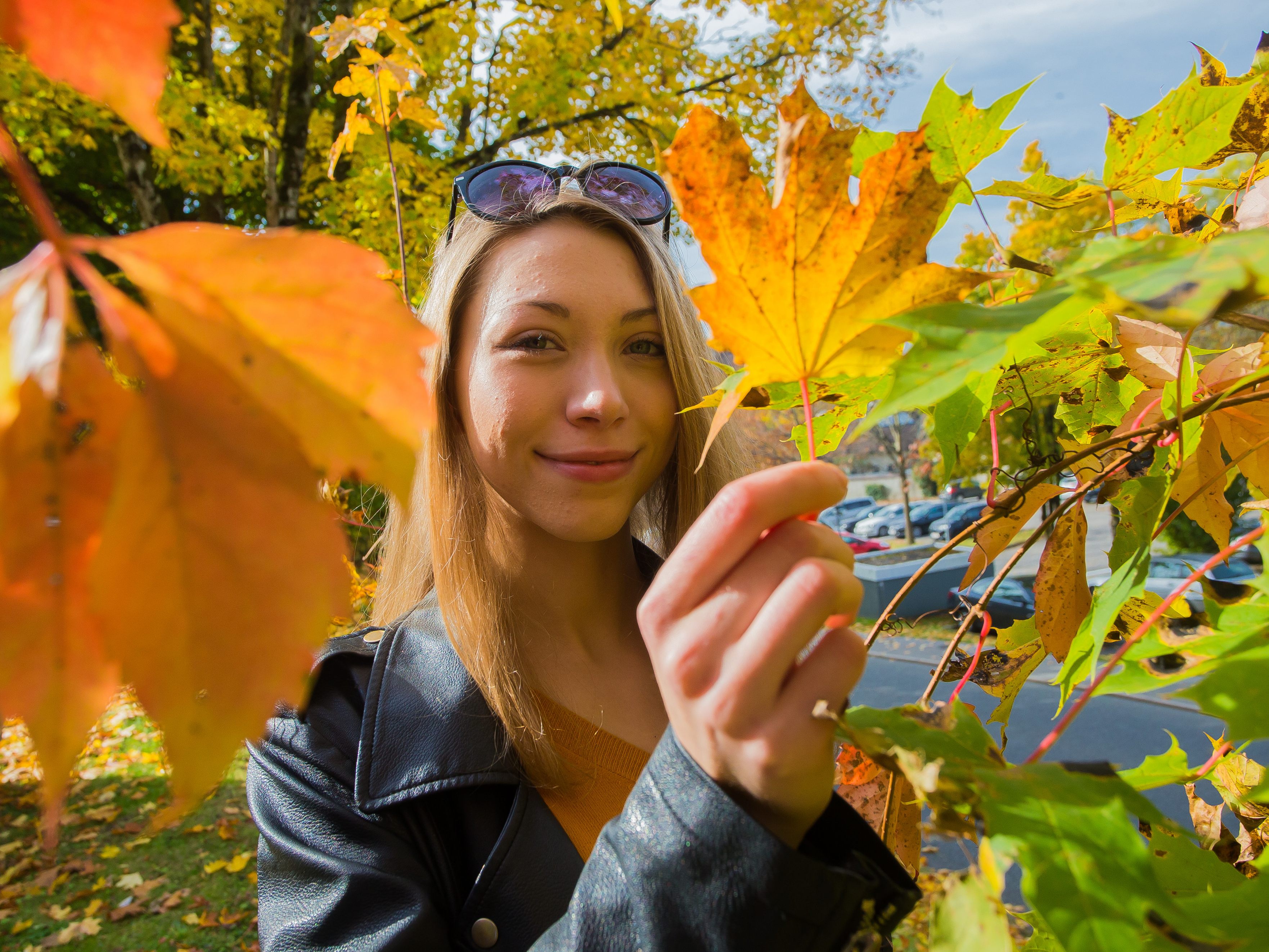 Der Oktober bringt die Sonne zurück.