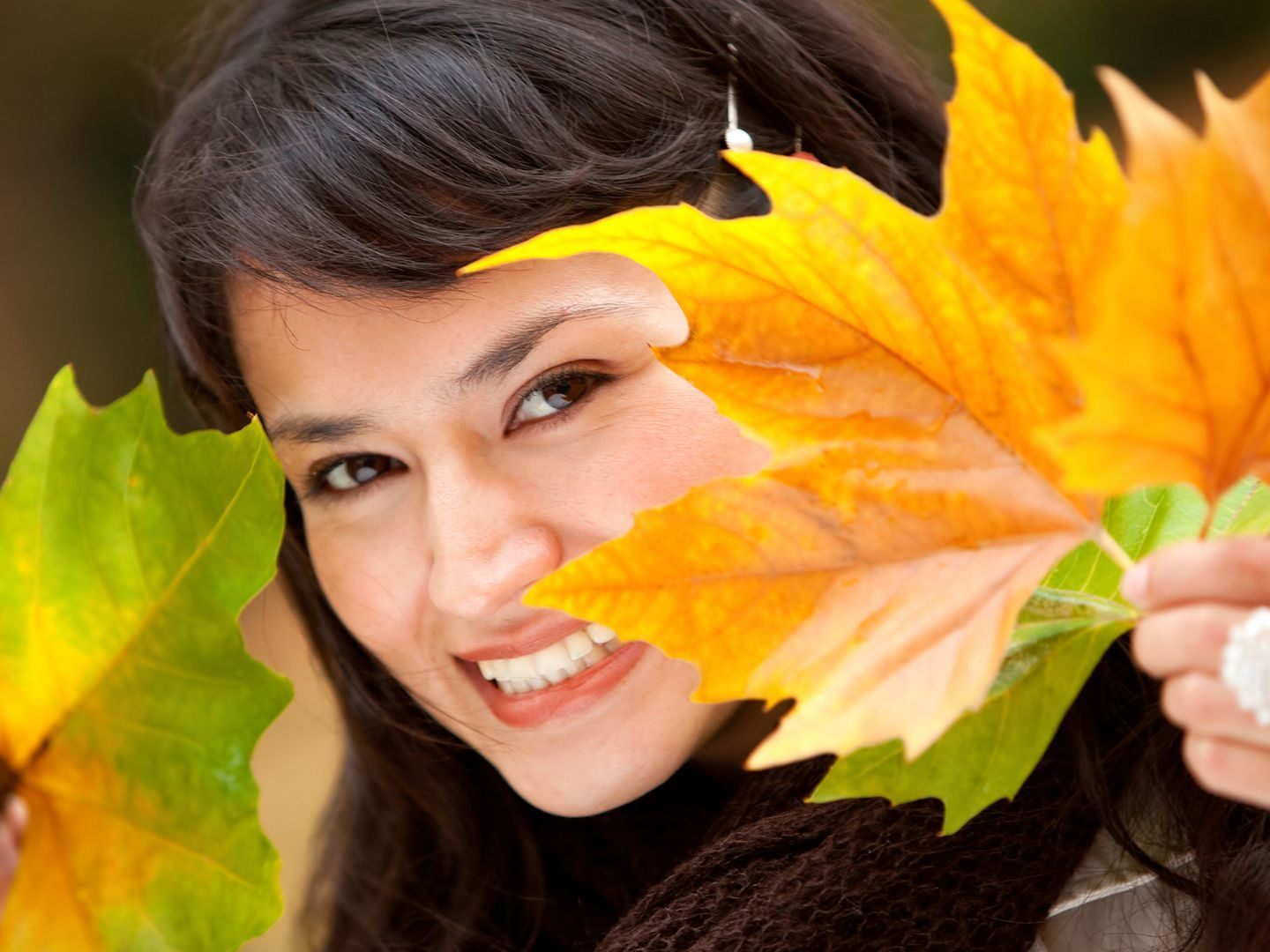 Ab Dienstag lässt sich der Herbst genießen.