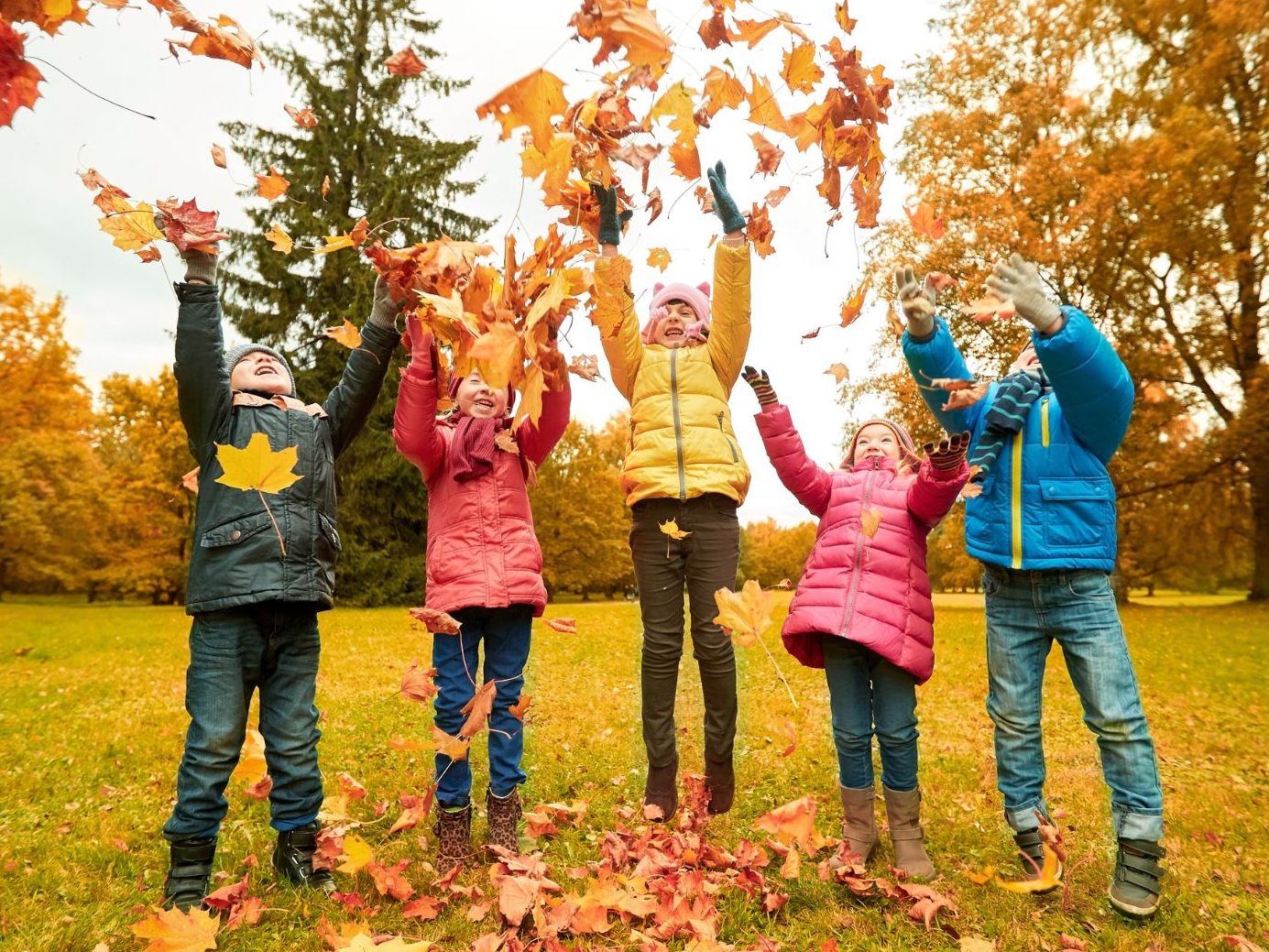 Start in eine goldene Herbstwoche.
