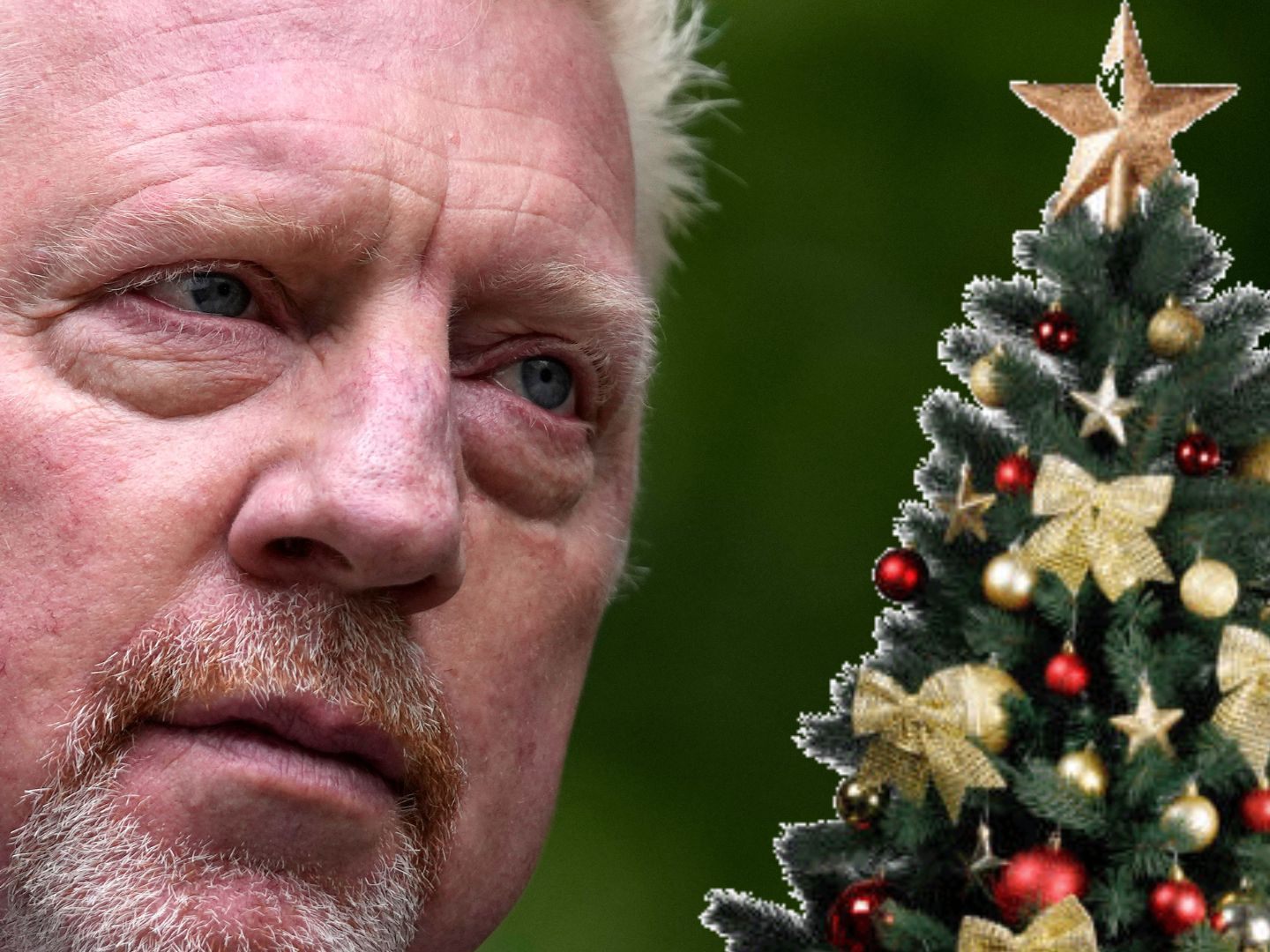 Weihnachten in Freiheit? Für Boris Becker recht wahrscheinlich.