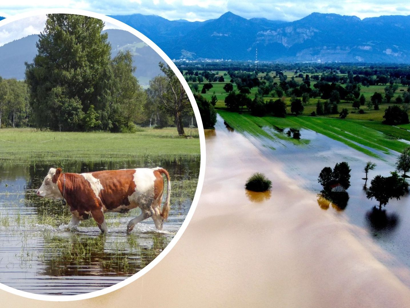 Gemeinsame Ausstellung von KlimaVOR!, Camera Club Sparkasse Bregenz und Naturfreunde Dornbirn von 21. November bis 11. Dezember.