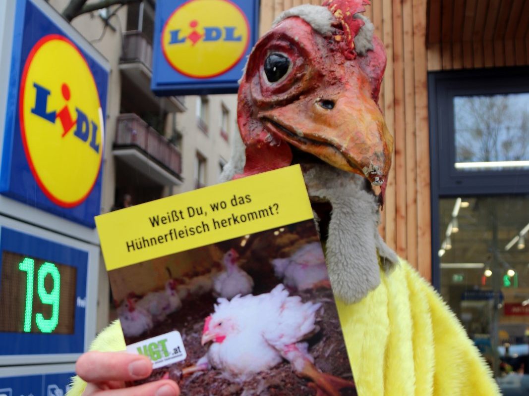 Der Skandalbetrieb, der auch Lidl mit Hühnerfleisch beliefert hat, wurde aus der Lieferkette entfernt.