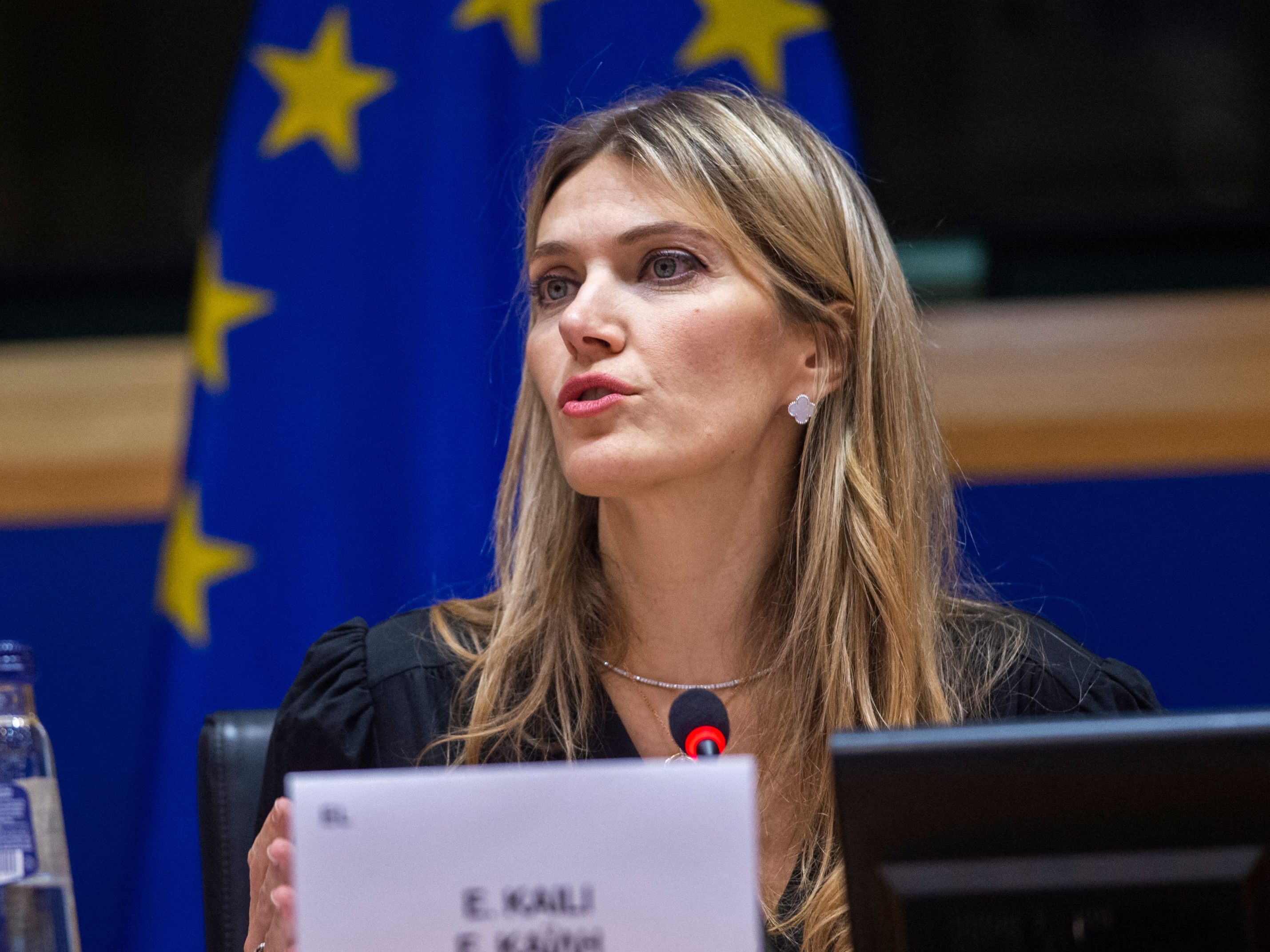 Die Absetzung Kailis wurde von den Abgeordneten des EU-Parlamentes mit 625 Stimmen bei nur einer Gegenstimme abgesegnet.