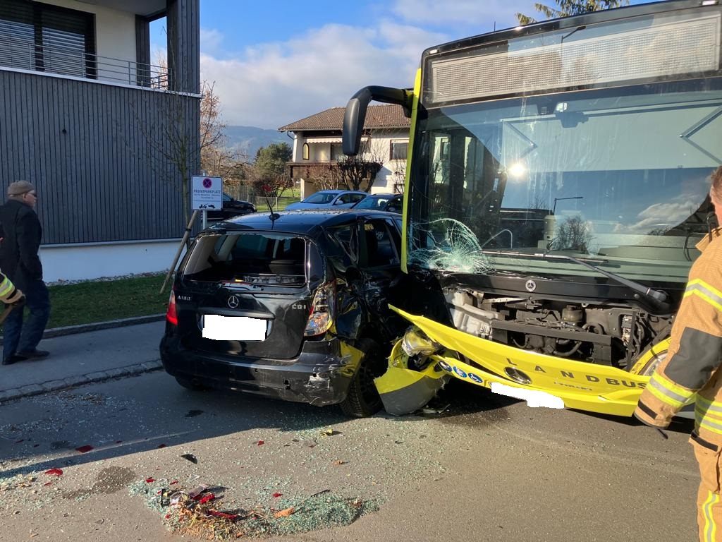 Der Lenker wurde bei dem Unfall leicht verletzt.