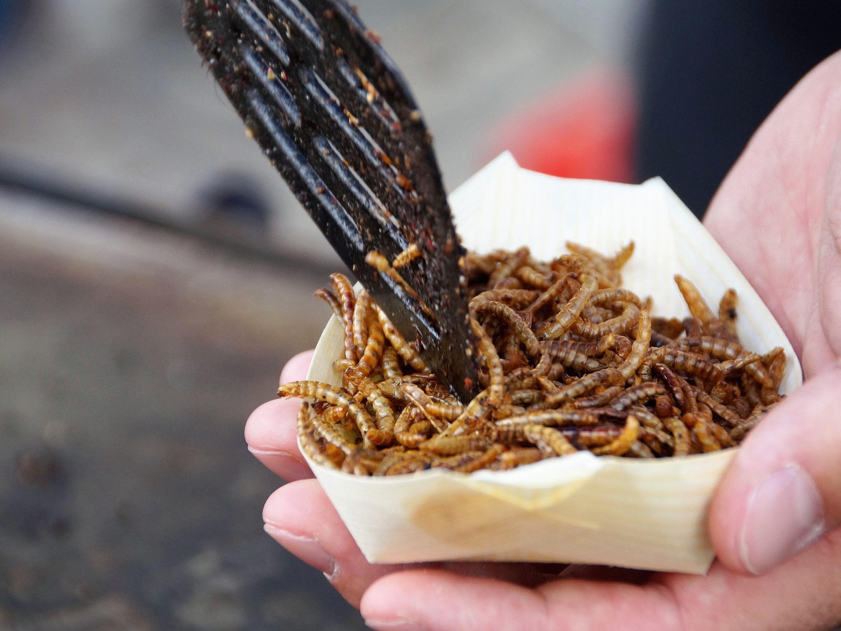 Kann man Insekten bedenkenlos essen?