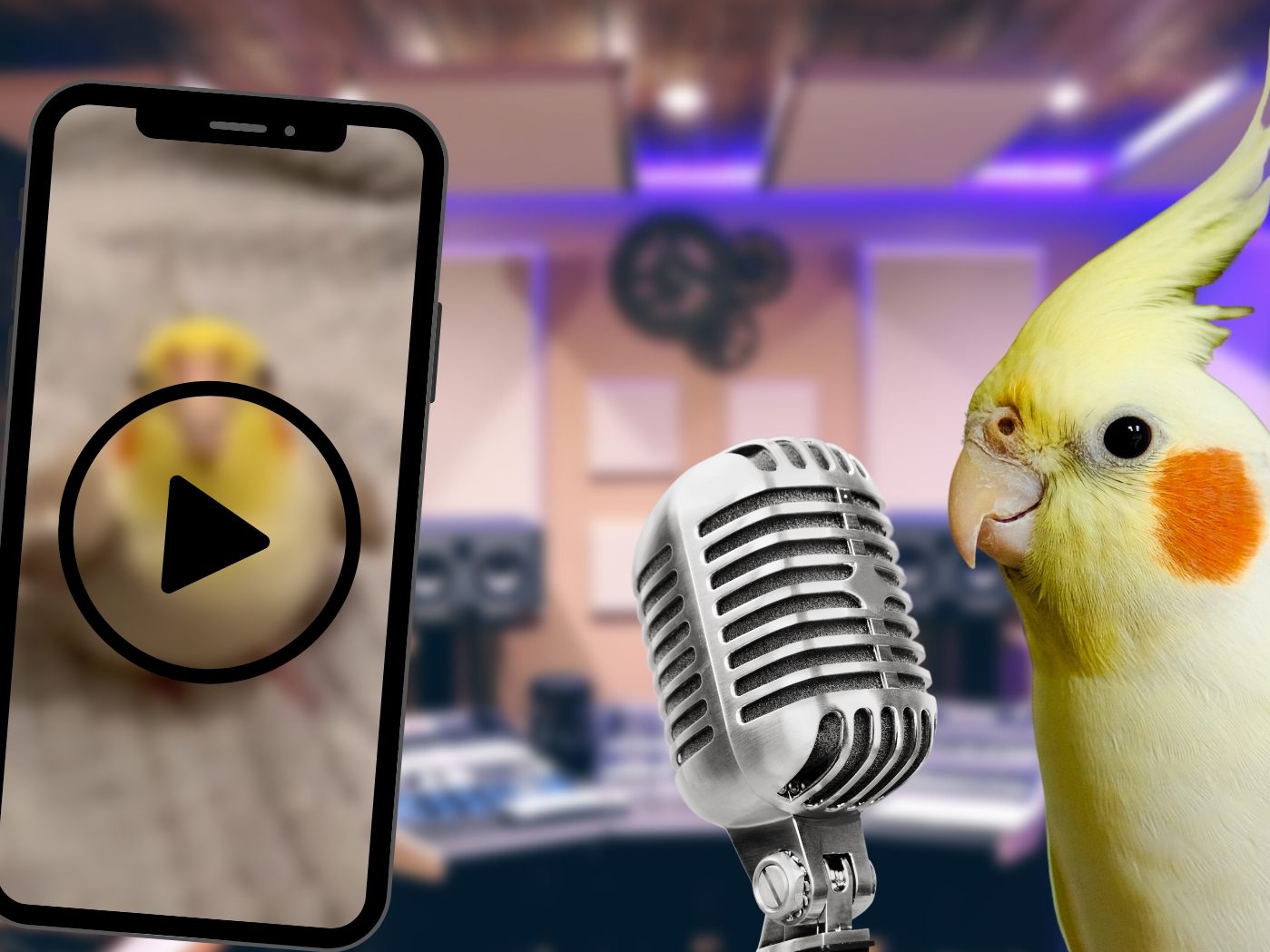 Vor diesem, ganz besonderen Beatboxer, könnte eine erfolgreiche Karriere liegen. (Symbolbild)