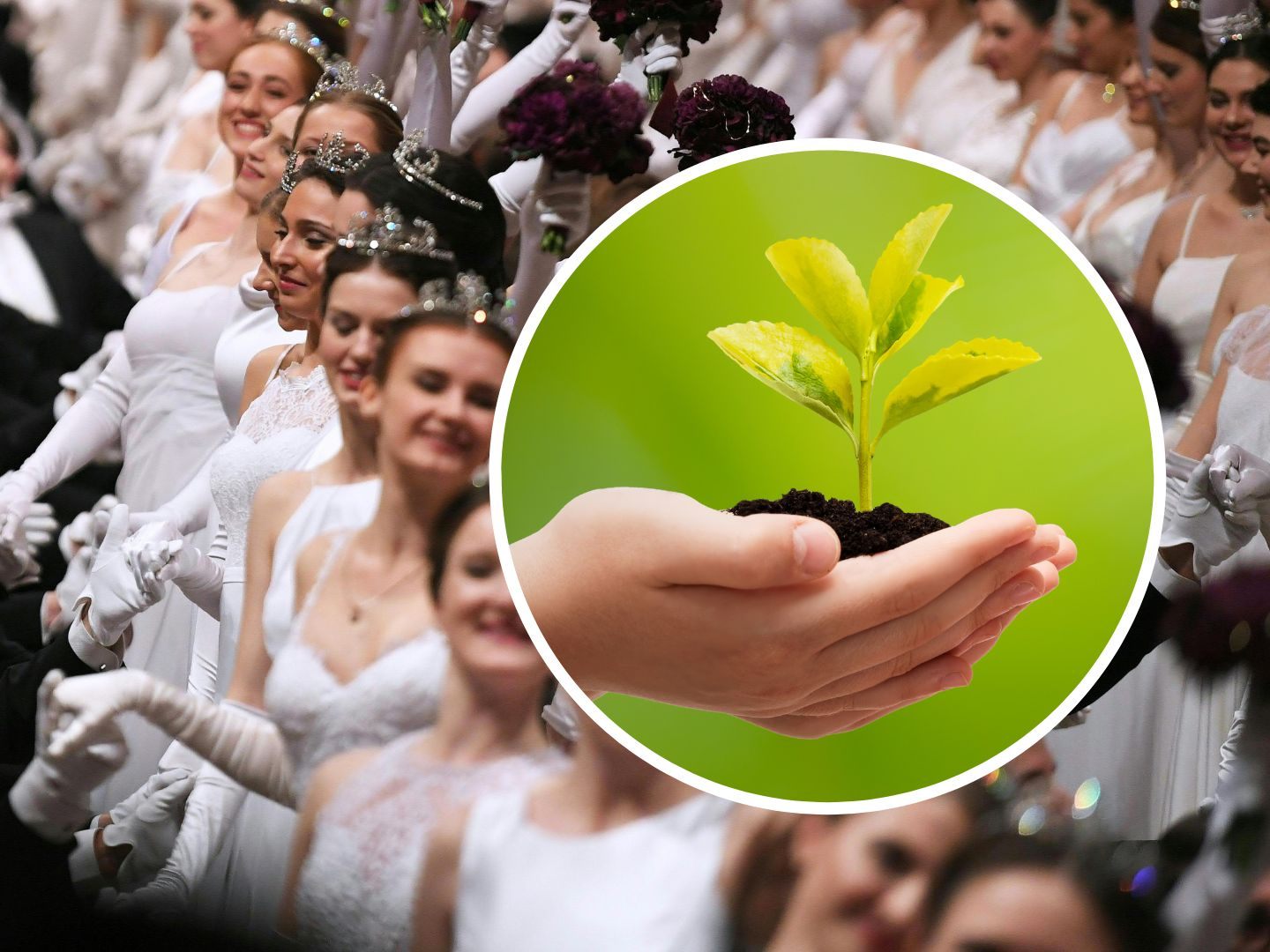 Der Wiener Opernball soll zum "Green Event" werden.