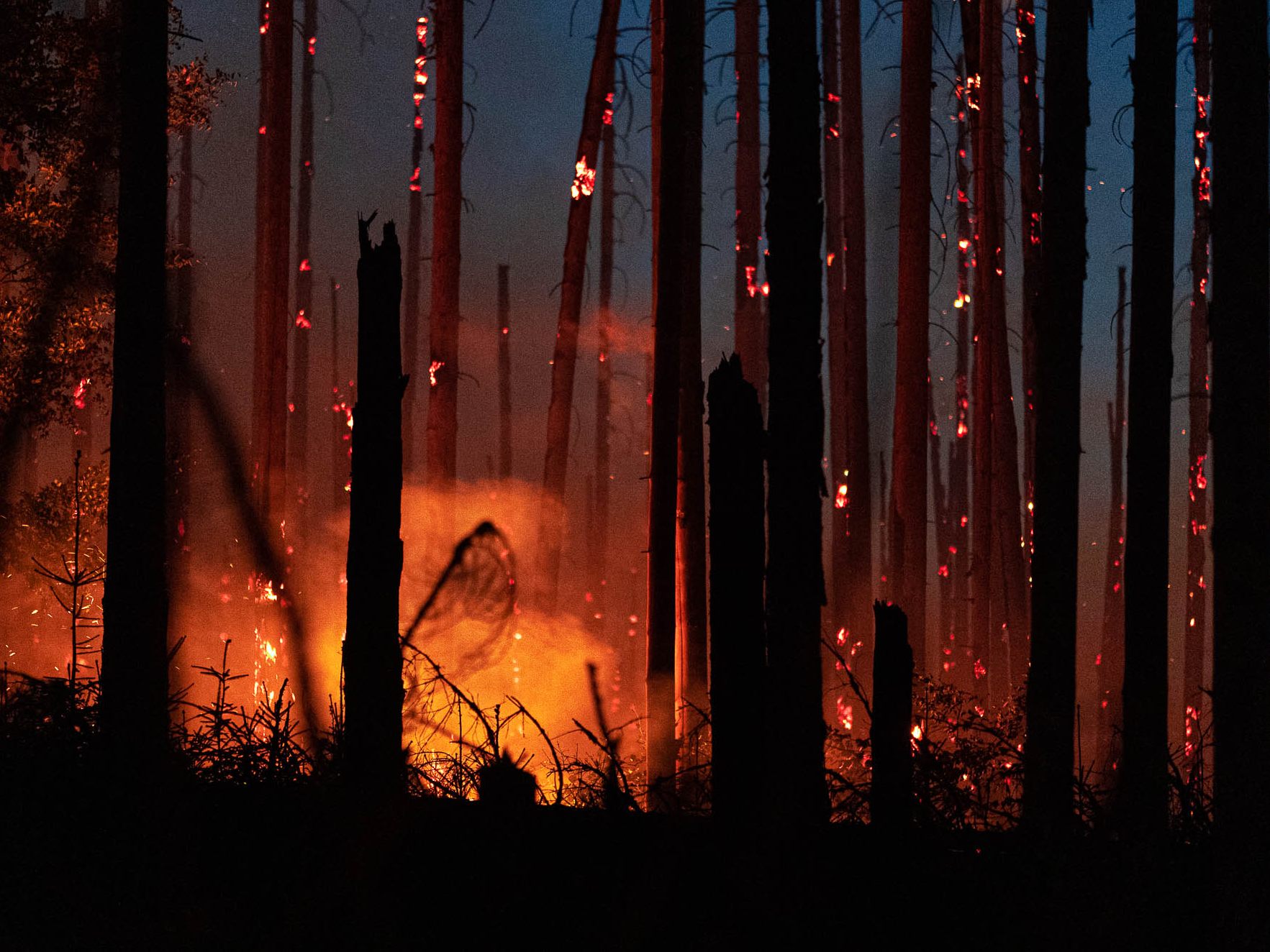 Laut Ubimet steige durch die derzeitige Trockenheit die Waldbrandgefahr in Österreich deutlich an.