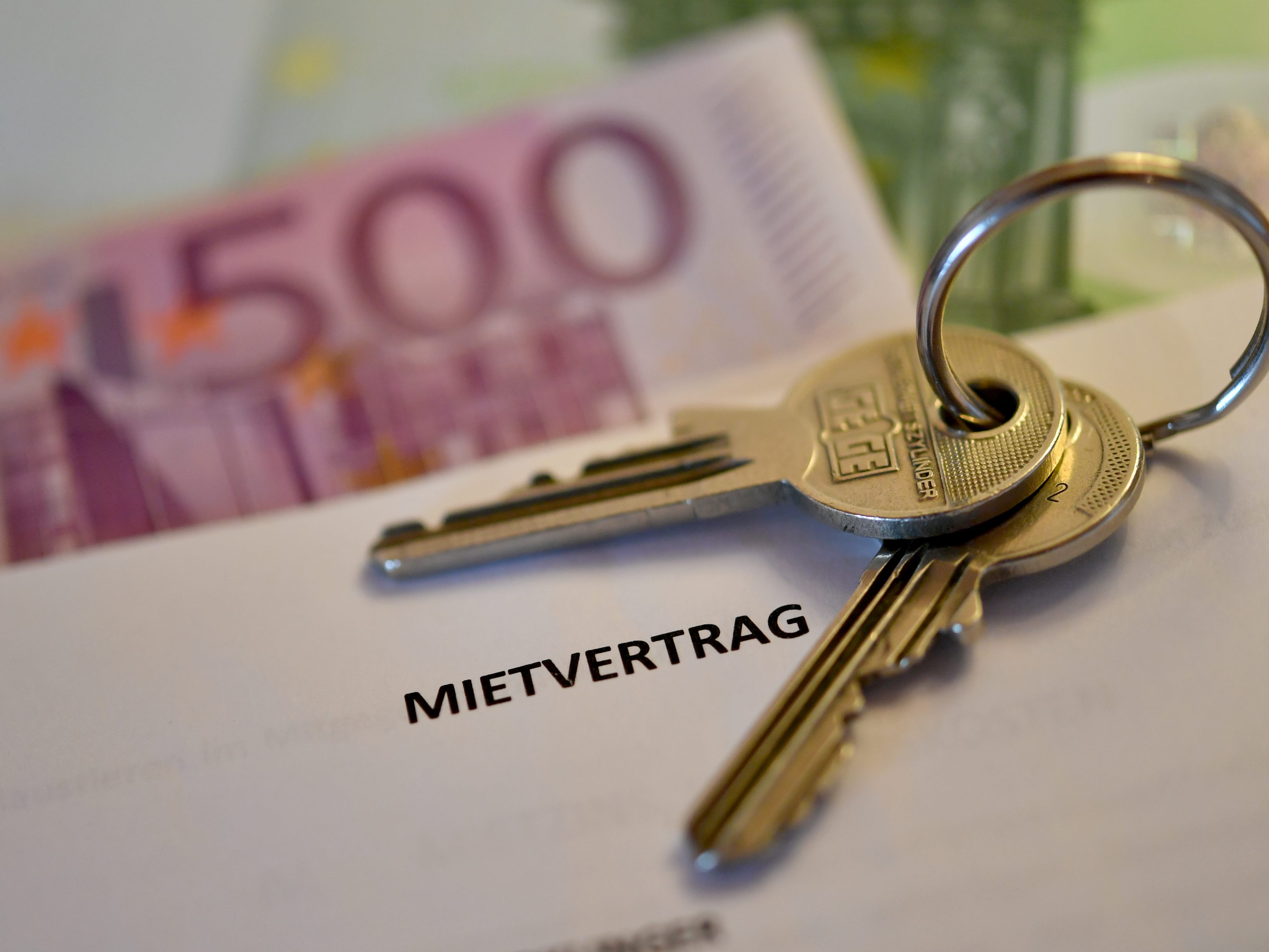 Die Stadt Wien pocht auf eine bundesweite Lösung bei der Mietpreisbremse.