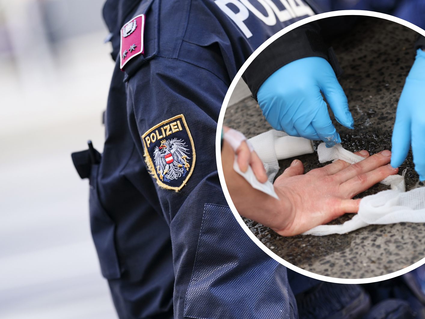 So viel kosteten die Polizeieinsätze zu den Aktionen der Klima-Aktivisten in Wien bisher.