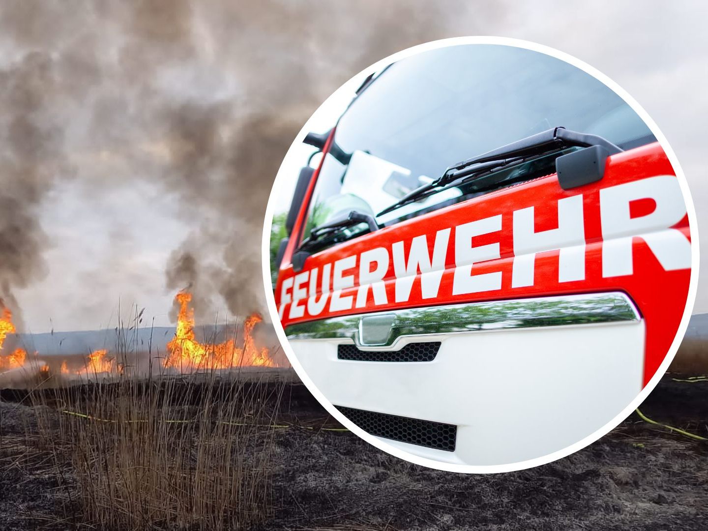Zwölf Feuerwehren kämpften gegen den Großbrand beim Neusiedler See.