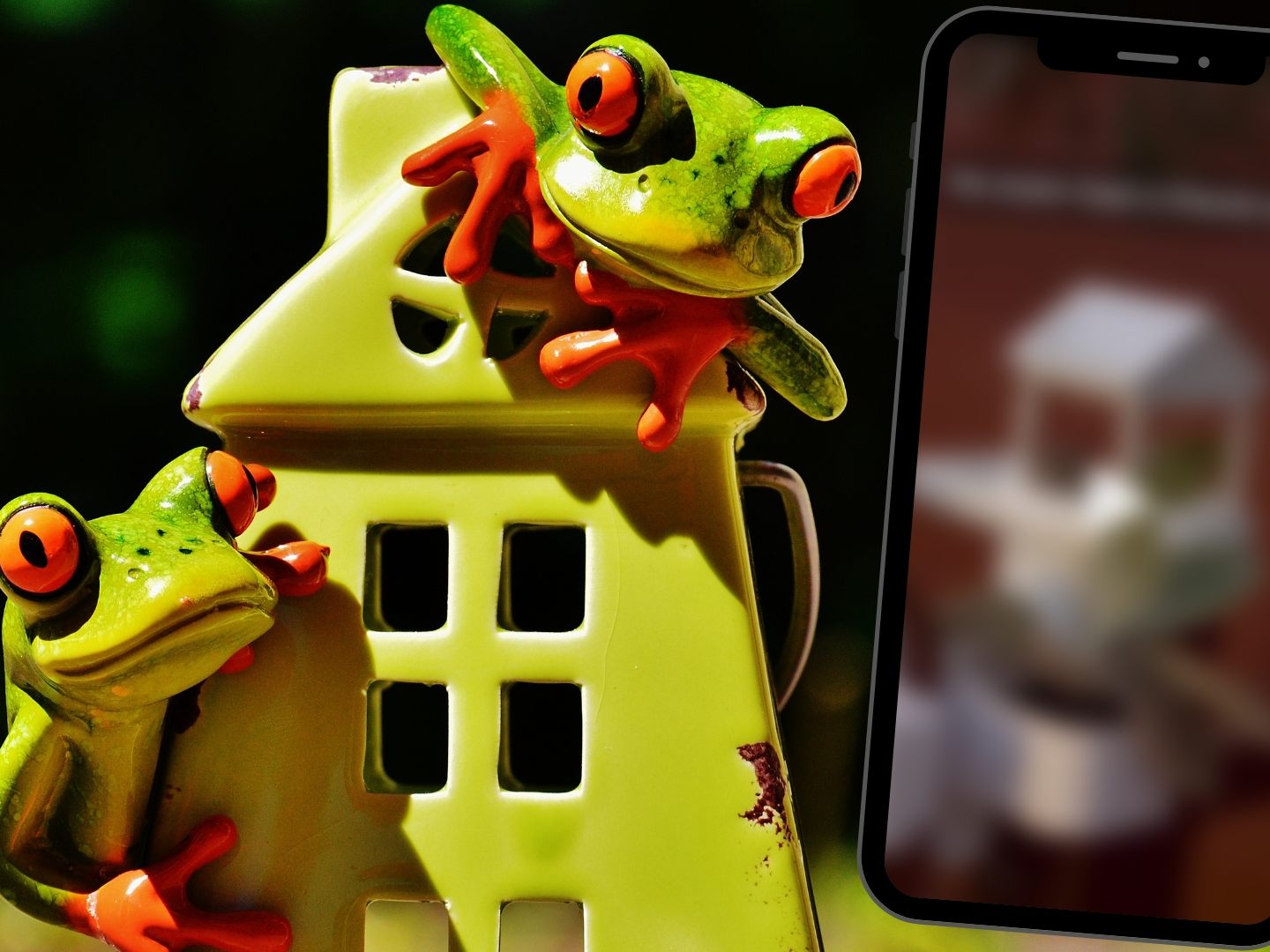 Australier baut seinen Lieblingen ein Haus