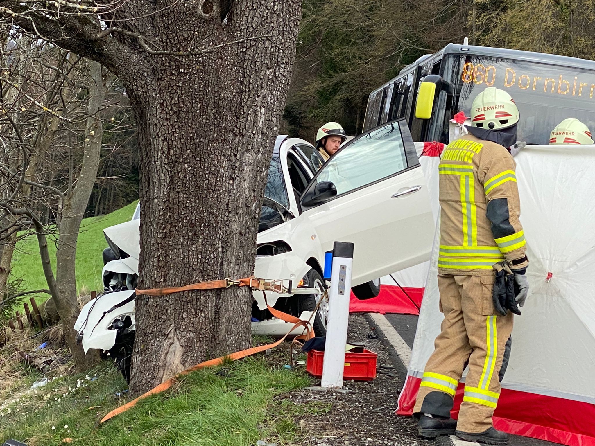 Mit Pkw gegen Baum gekracht