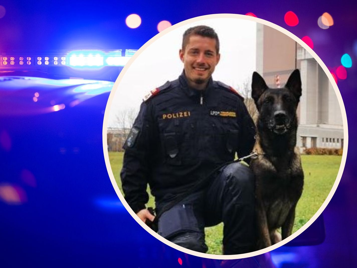 Erfolgreicher Stöbereinsatz des Polizeidiensthundes "Quento von Nacheron" in Göfis.