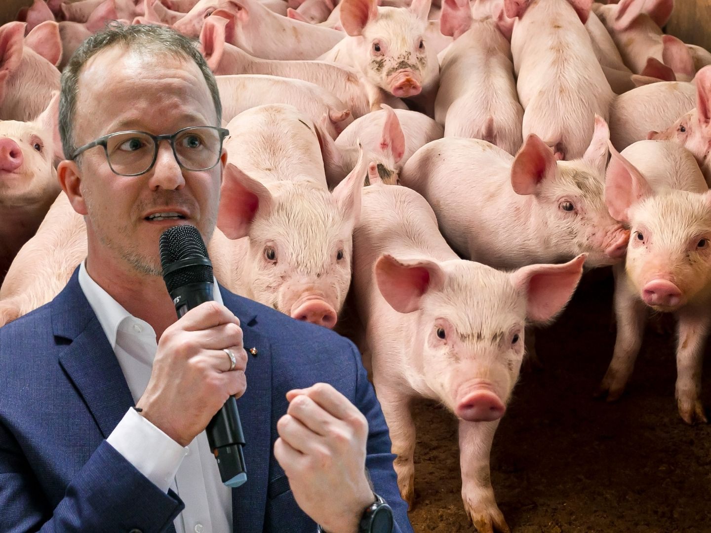 Neue Strategie soll noch vor dem Sommer veröffentlicht werden