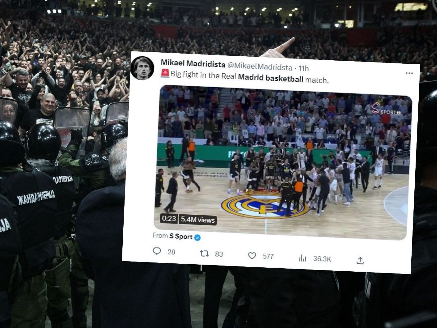 Bei einem Basketballspiel kam es zu einer Massenschlägerei.