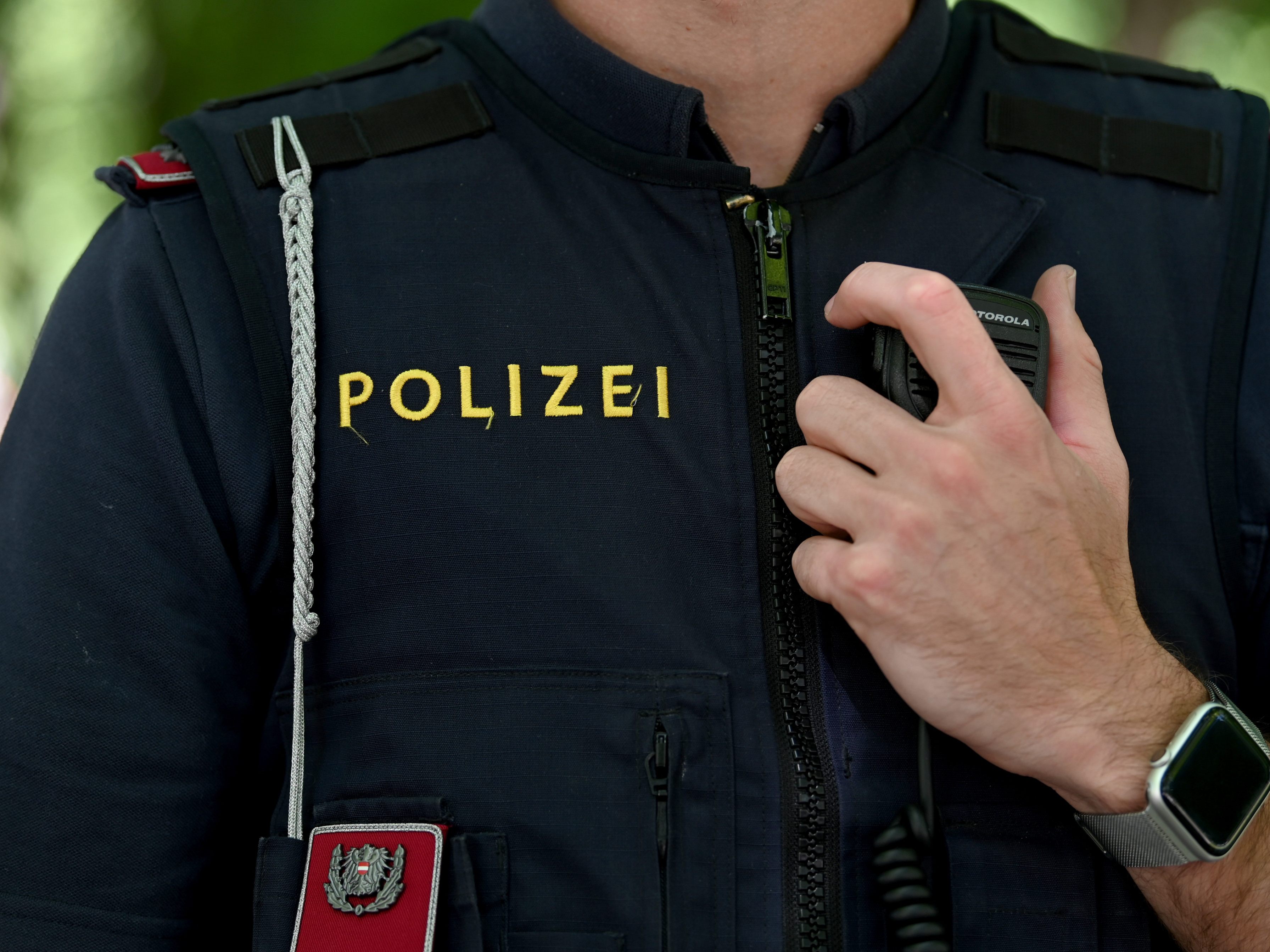 Mutmaßlicher Schlepper baute auf Flucht vor Polizei im Burgenland Unfall.