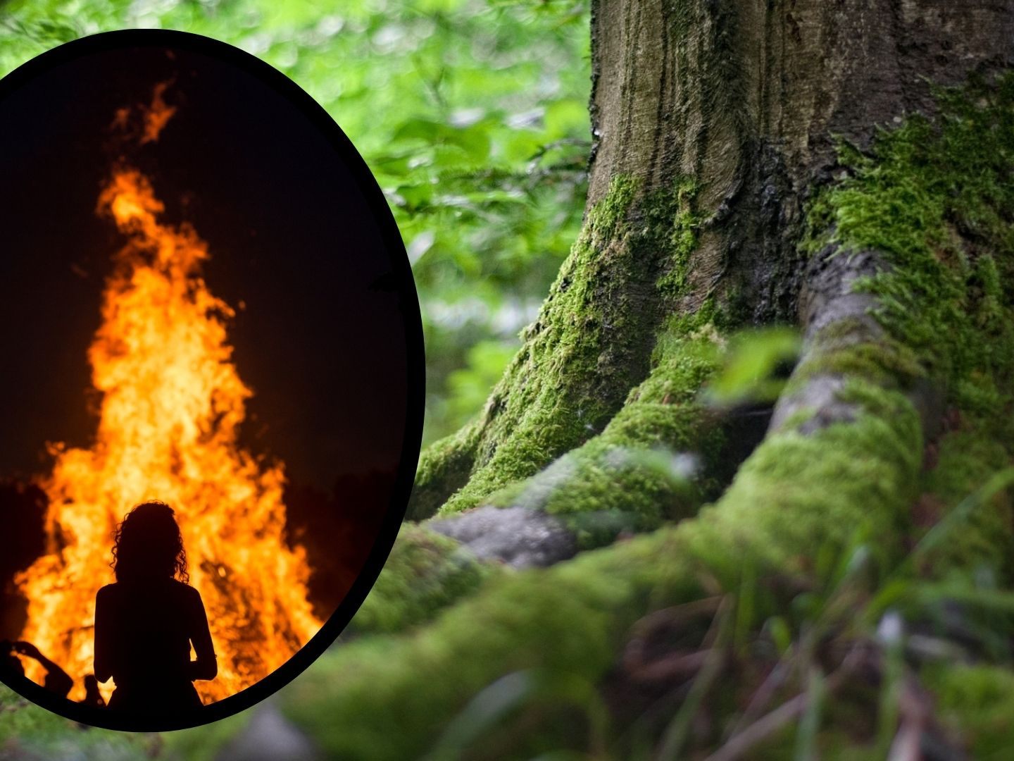 Die Waldbrandgefahr in Vorarlberg ist erhöht.