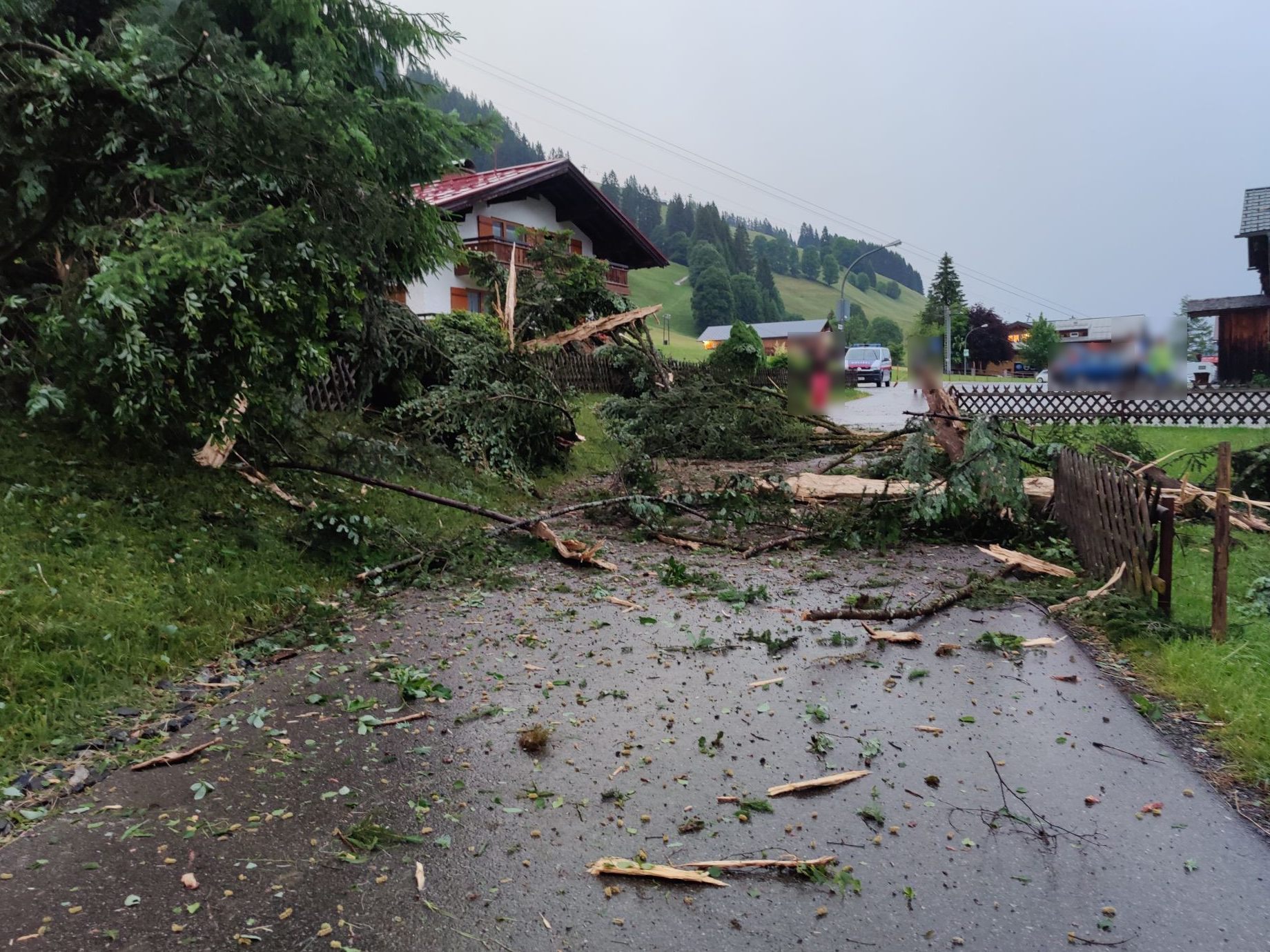 Blitz schlug in Tanne in Mittelberg ein.