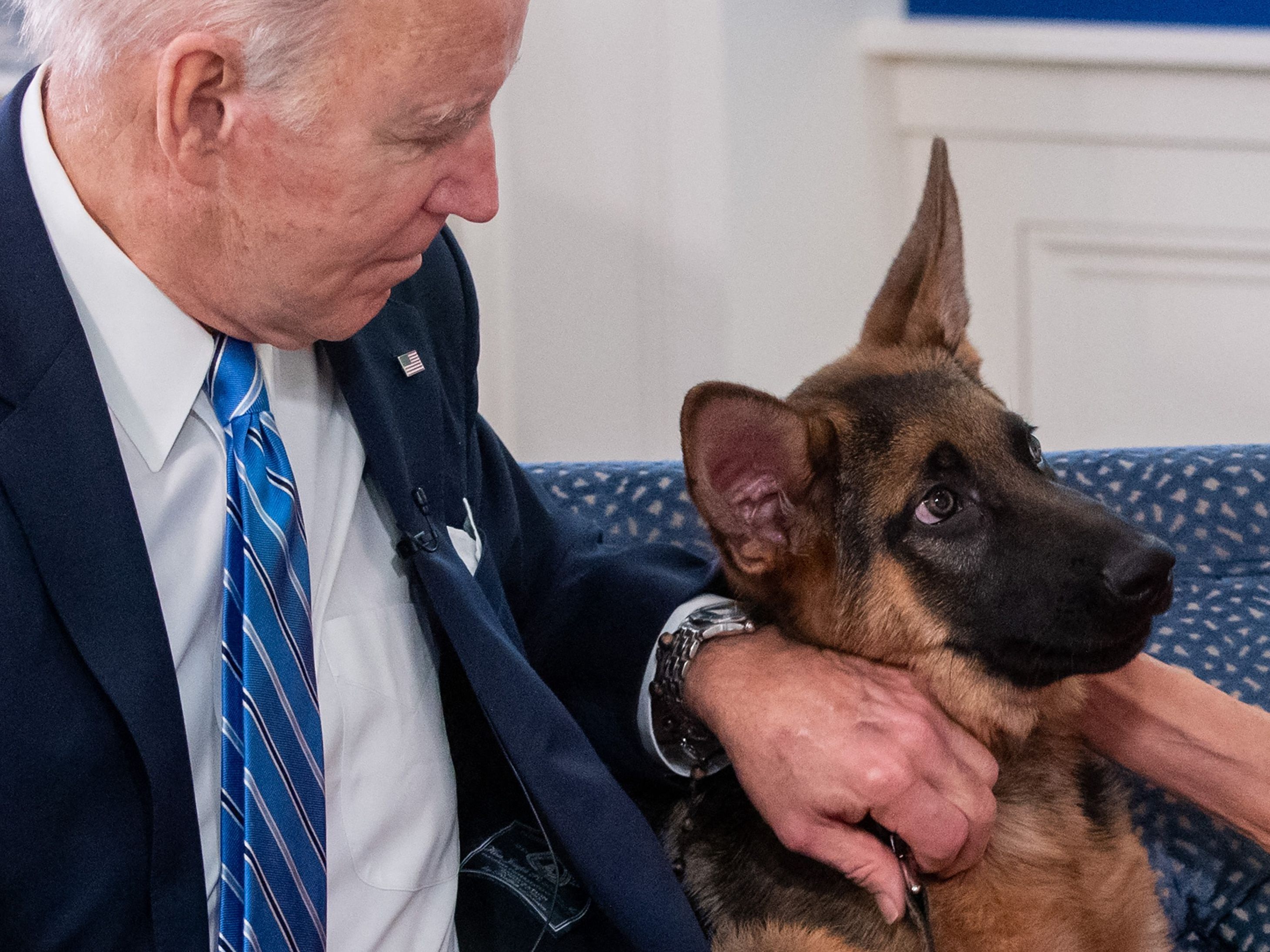 Joe Biden mit seinem Hund "Commander".