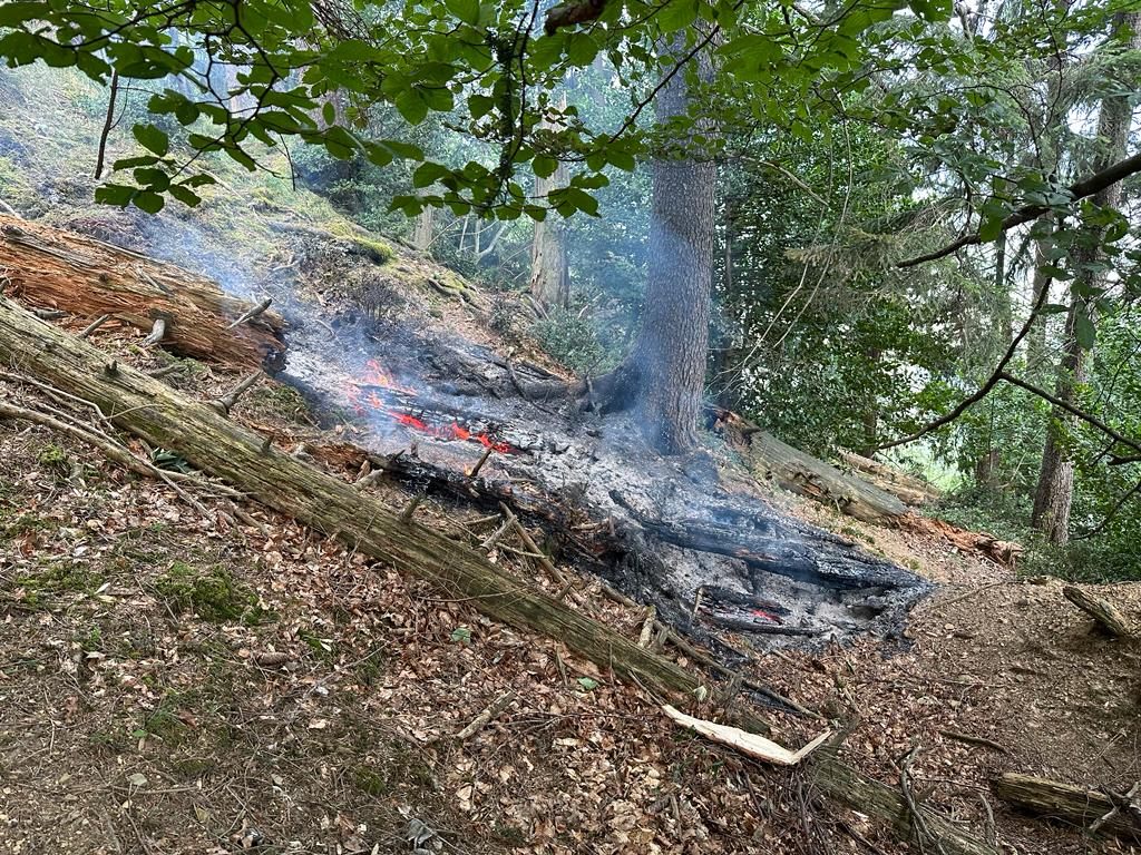 Die Feuerwehr wurde zu einem Waldbrand nach einem Blitzeinschlag gerufen.