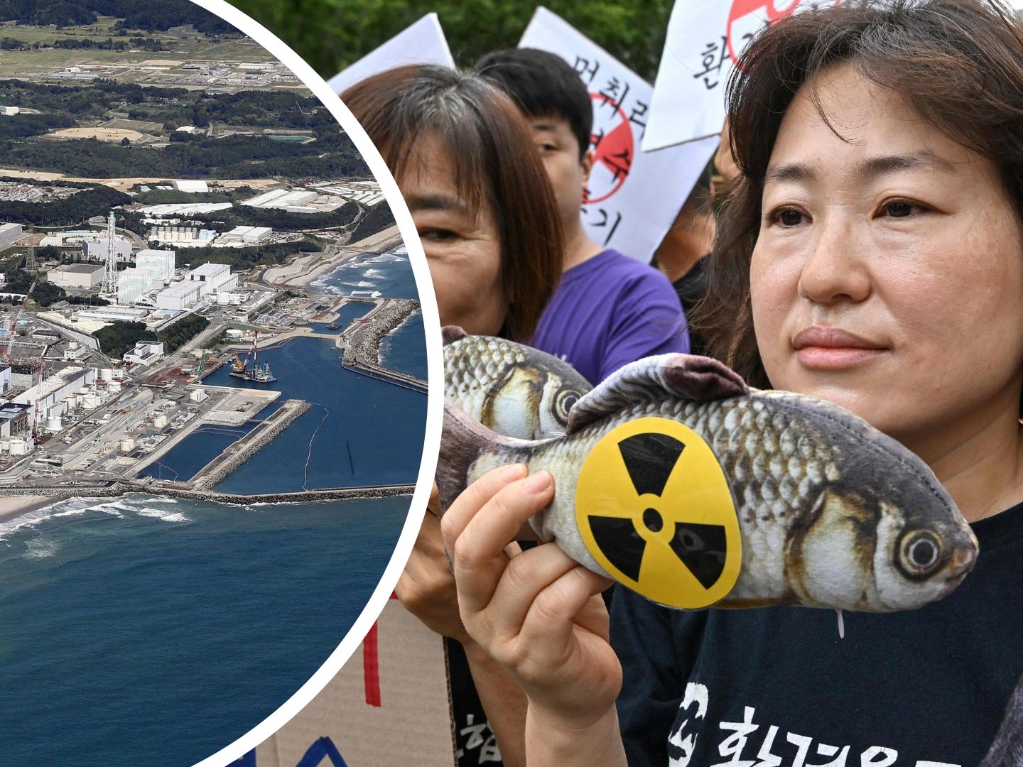 Proteste gegen Fukushima-Entleerung ins Meer.