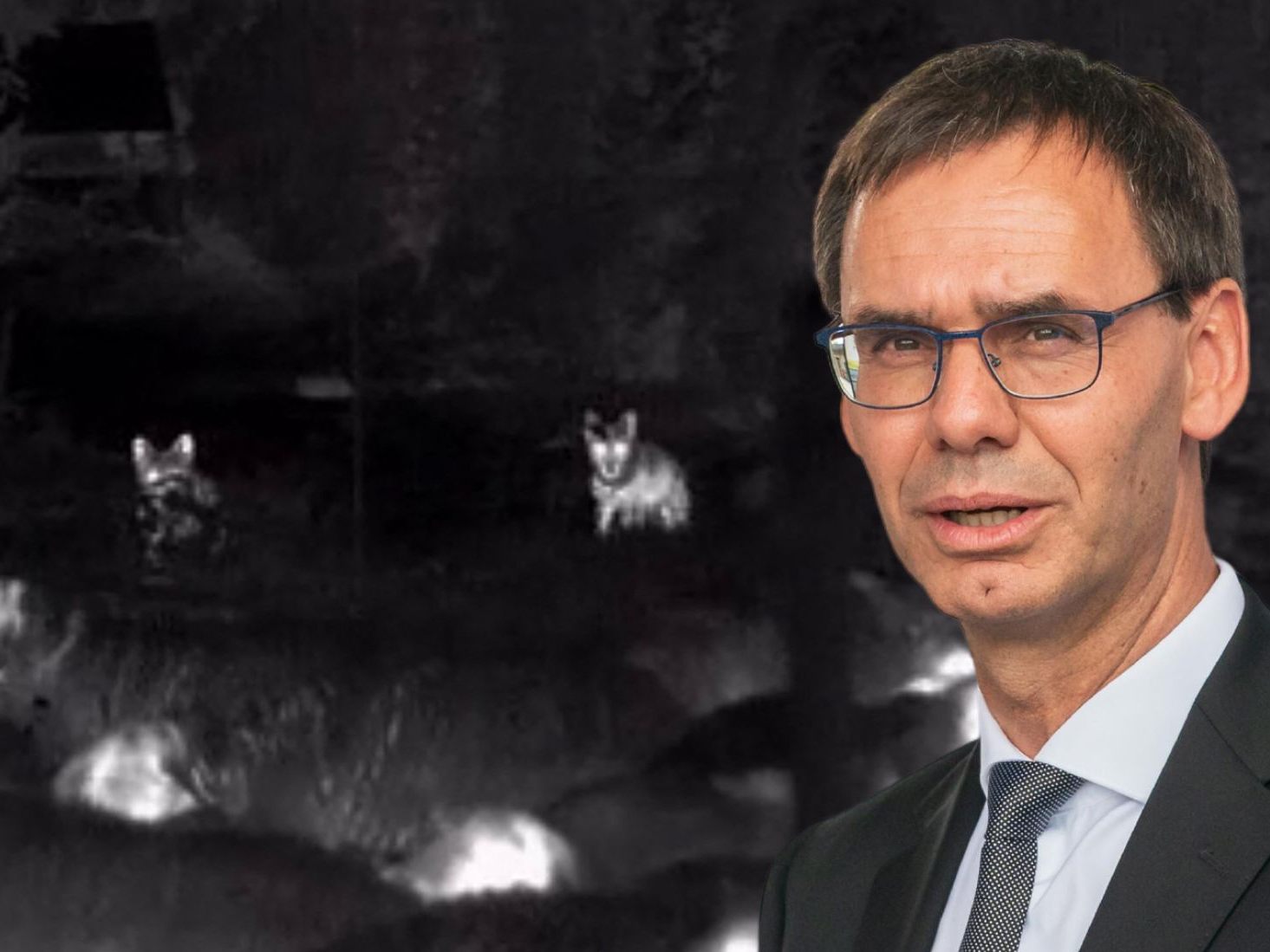 Vorarlberger Landeshauptmann: Regulierung notwendig.