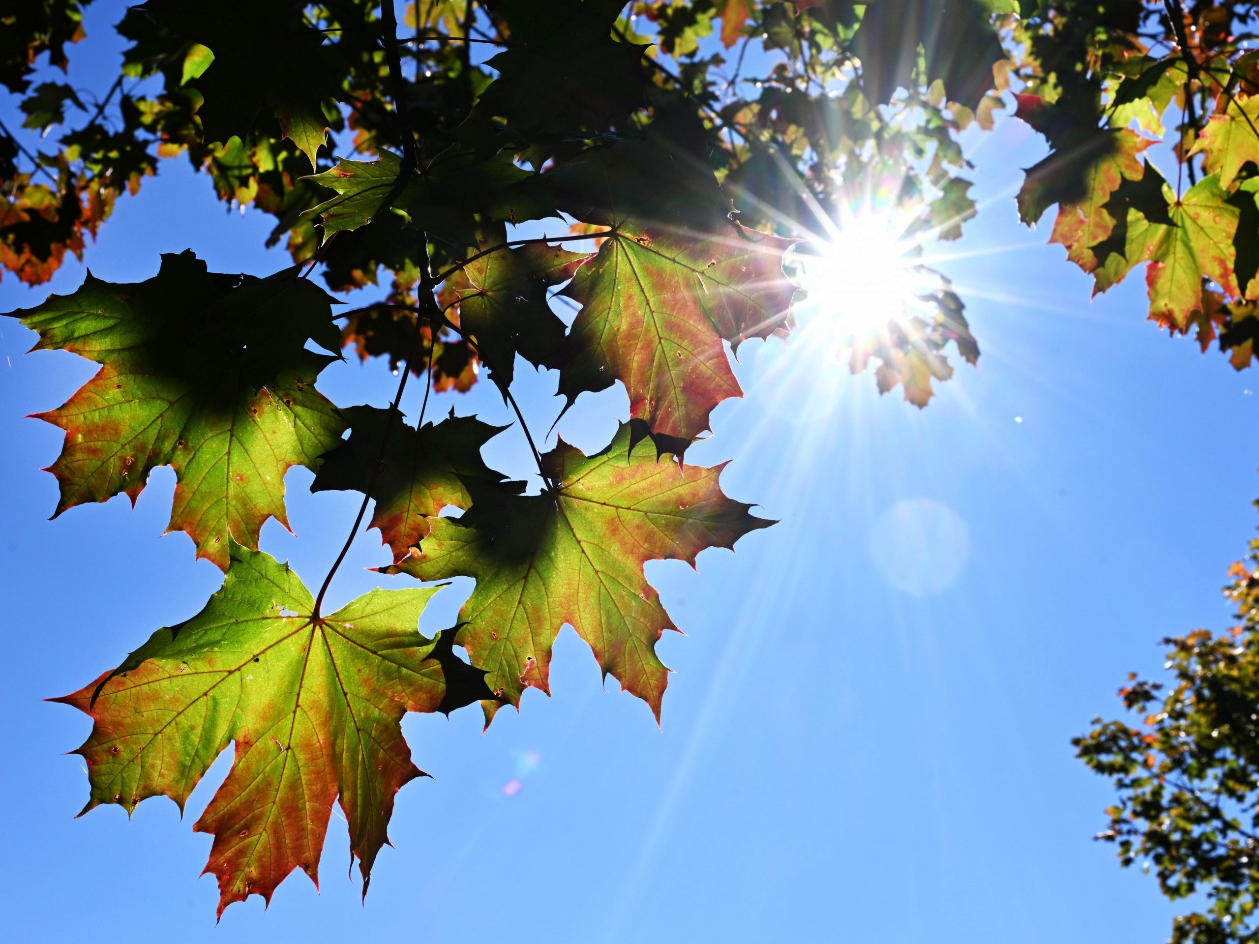 Die Temperaturen überstiegen im September die Durchschnittswerte um mehr als drei Grad Celsius.