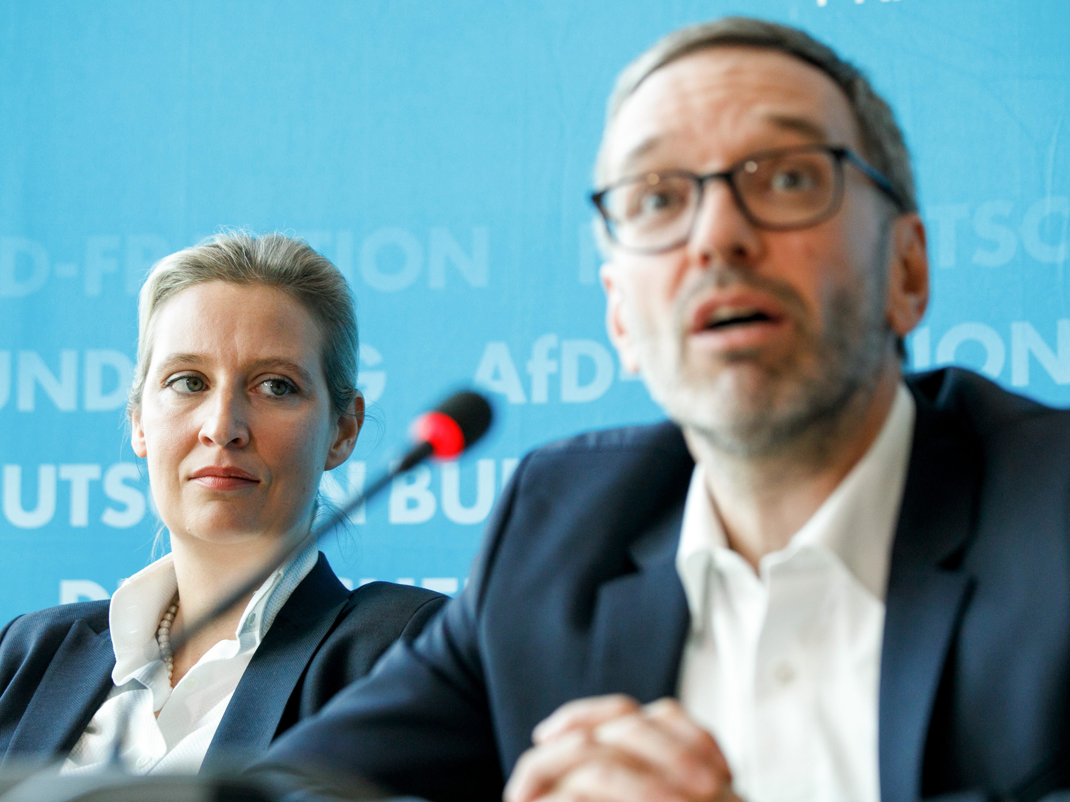 Alice Weidel und Herbert Kickl.