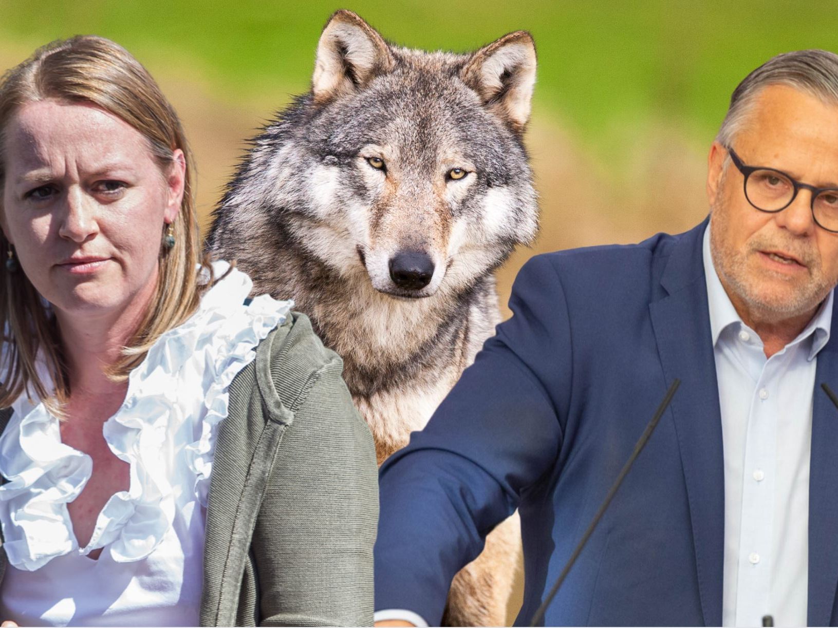 ÖVP und Grüne einigten sich auf Maßnahmenpaket,