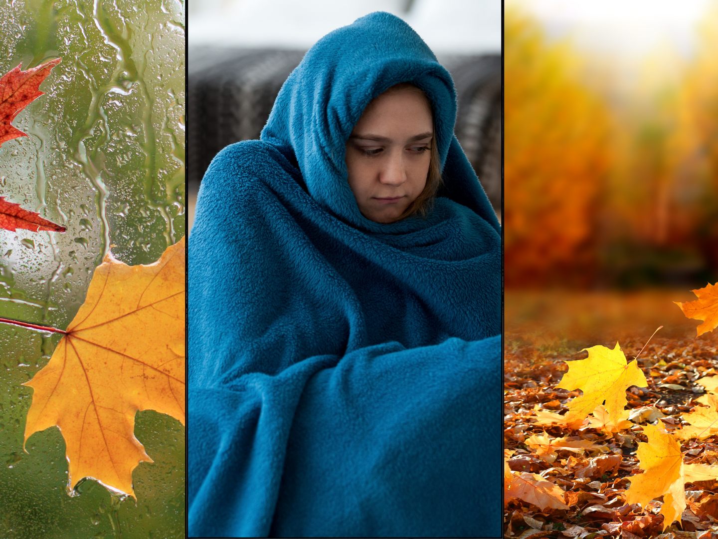 Ab Freitag wird es regnerisch.
