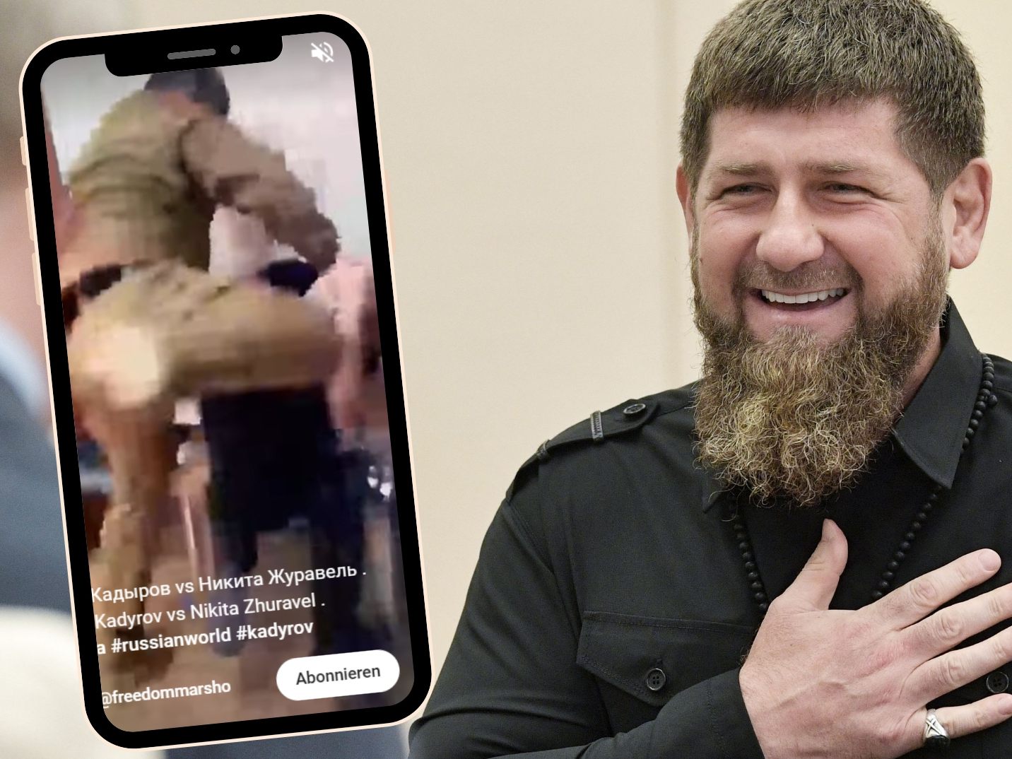 Nach Einschätzung der BBC mit Berufung auf russische Fachjuristen werden im Video mindestens neun russische Gesetze gebrochen.